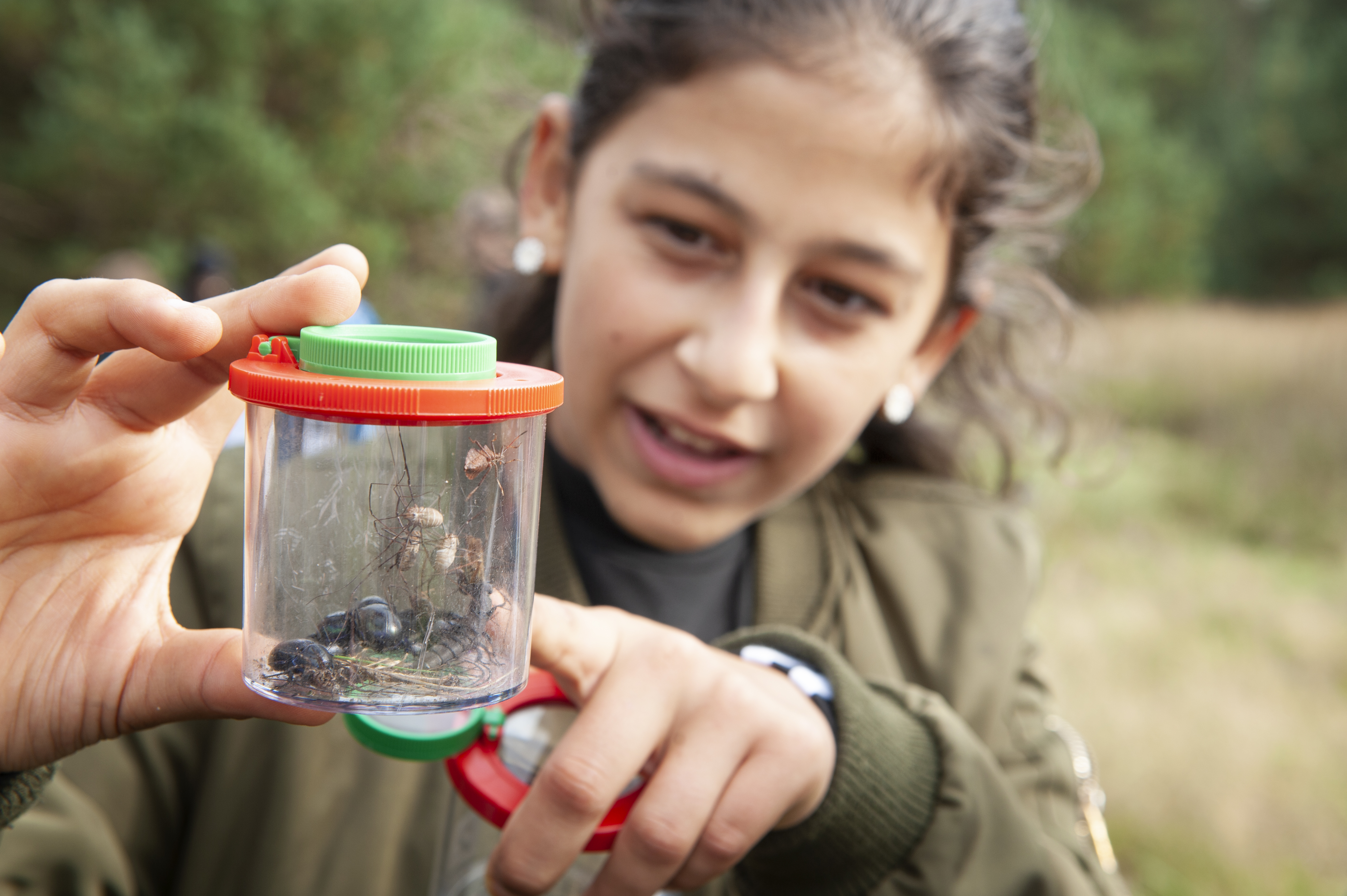 Beestjes bestuderen tijdens een veldles bij de Veluwe © Natuurcentrum Arnhem