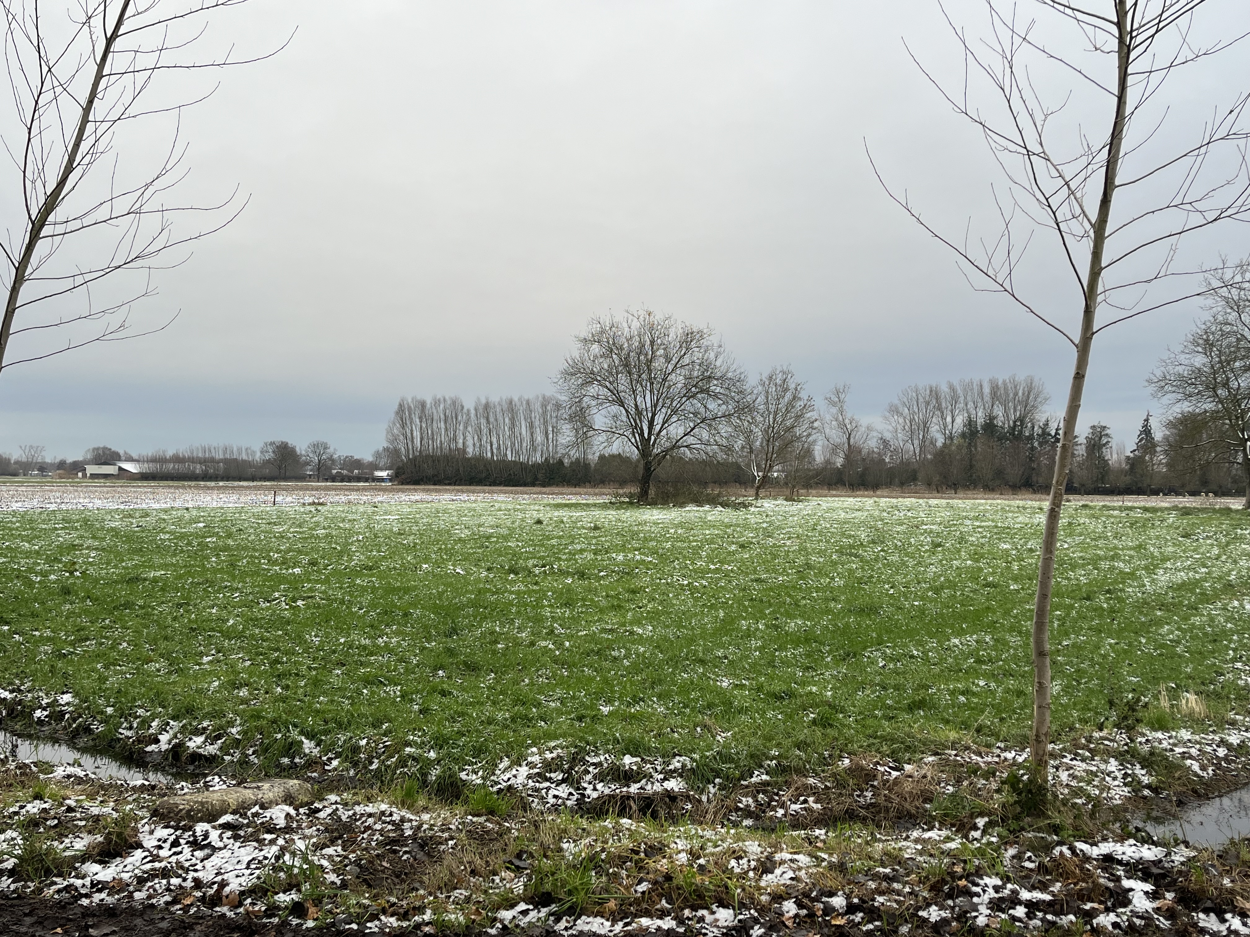 rewildingswerkplaats Groene Woud