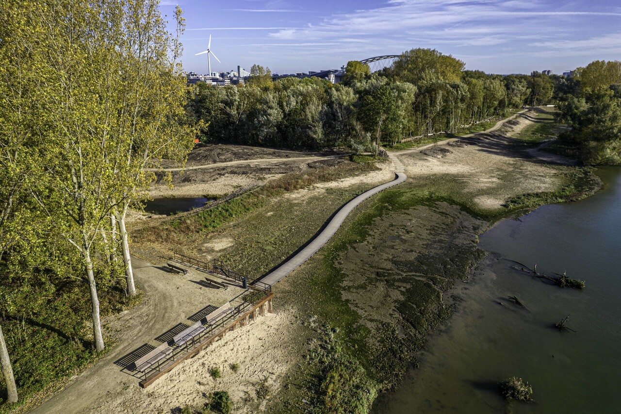 Natuurvriendelijke oevers bij Eiland van Brienenoord.