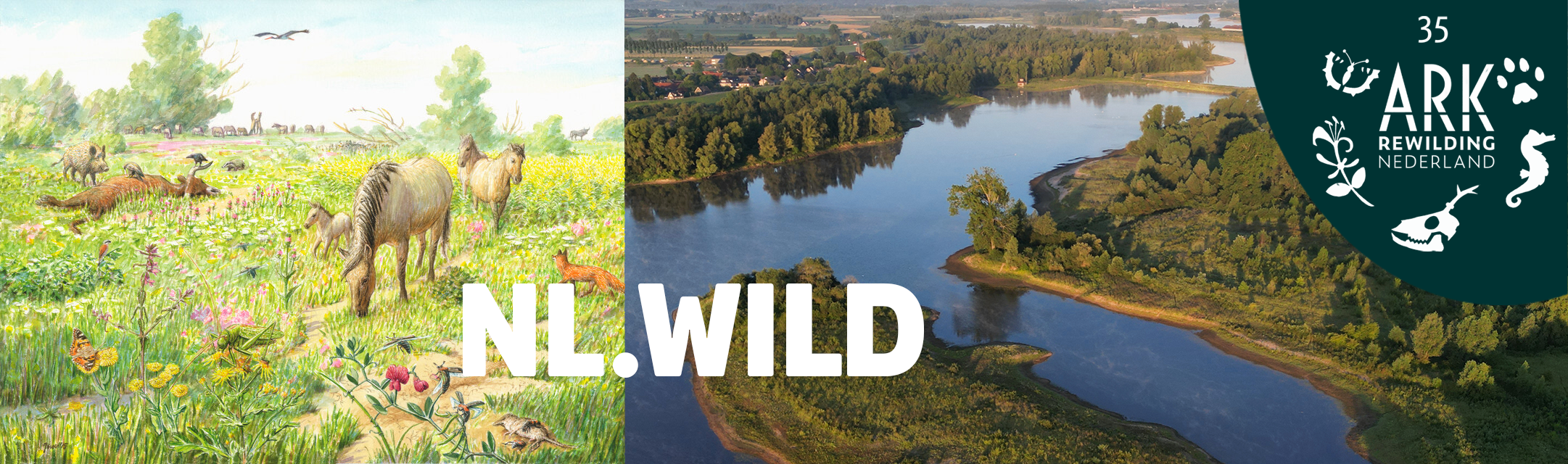 NL.Wild_banner