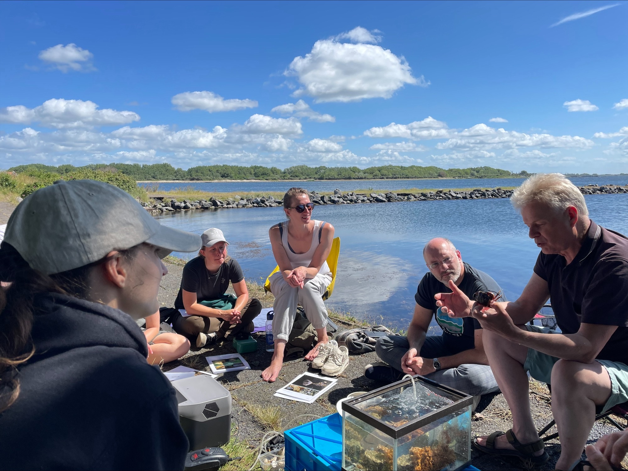 Afdeling Zeebeleid van het ministerie I&W onderzoekt leven bij schelpdierriffen.