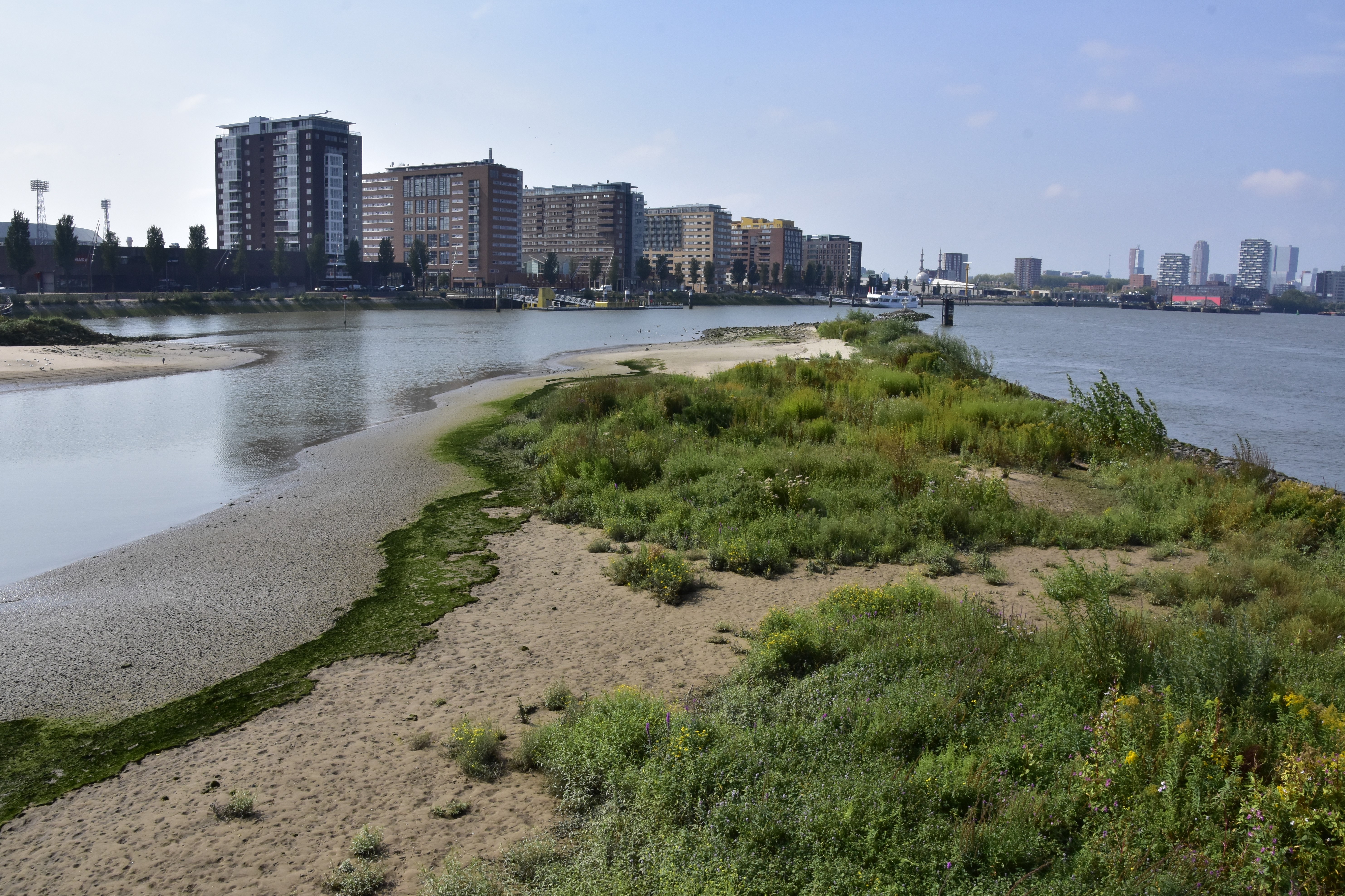 Uitzicht op Rotterdam vanaf het eiland van Brienenoord.