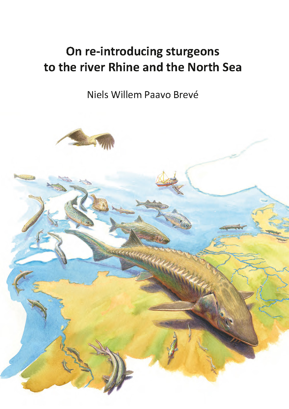 cover proefschrift Breve