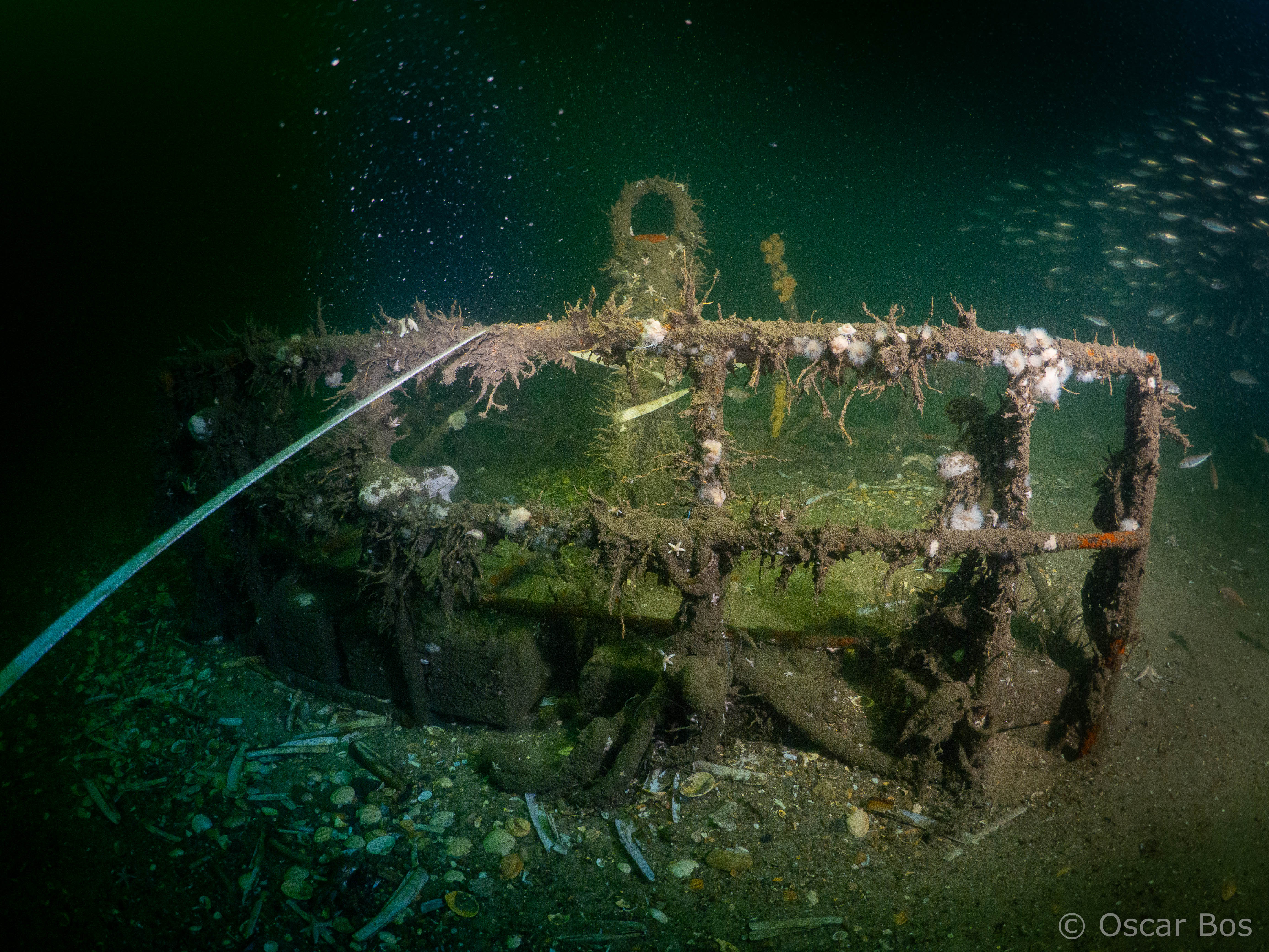 Begroeid uitzetmateriaal bij Borkumse Stenen