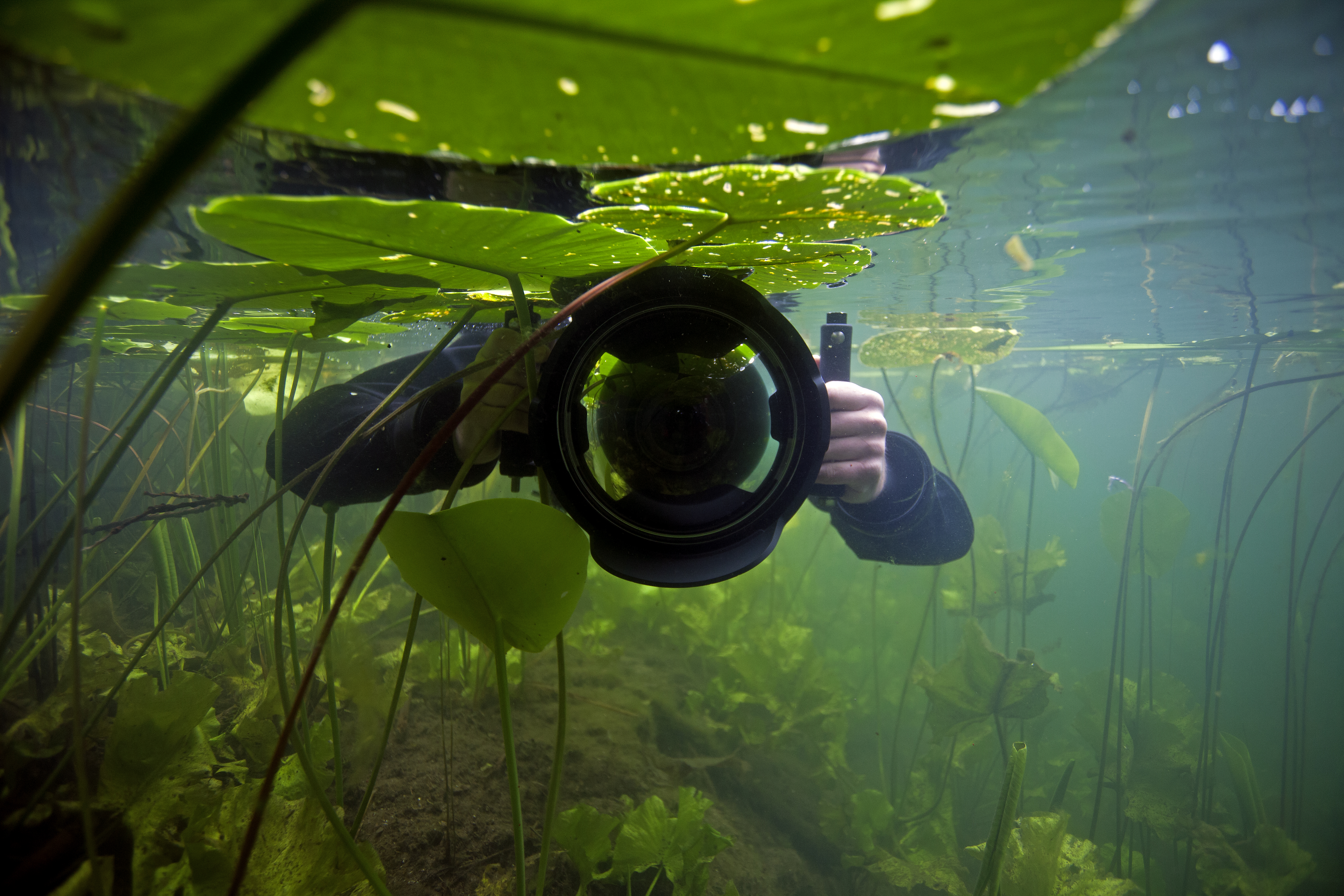 Onderwaterfotograaf Arthur de Bruin
