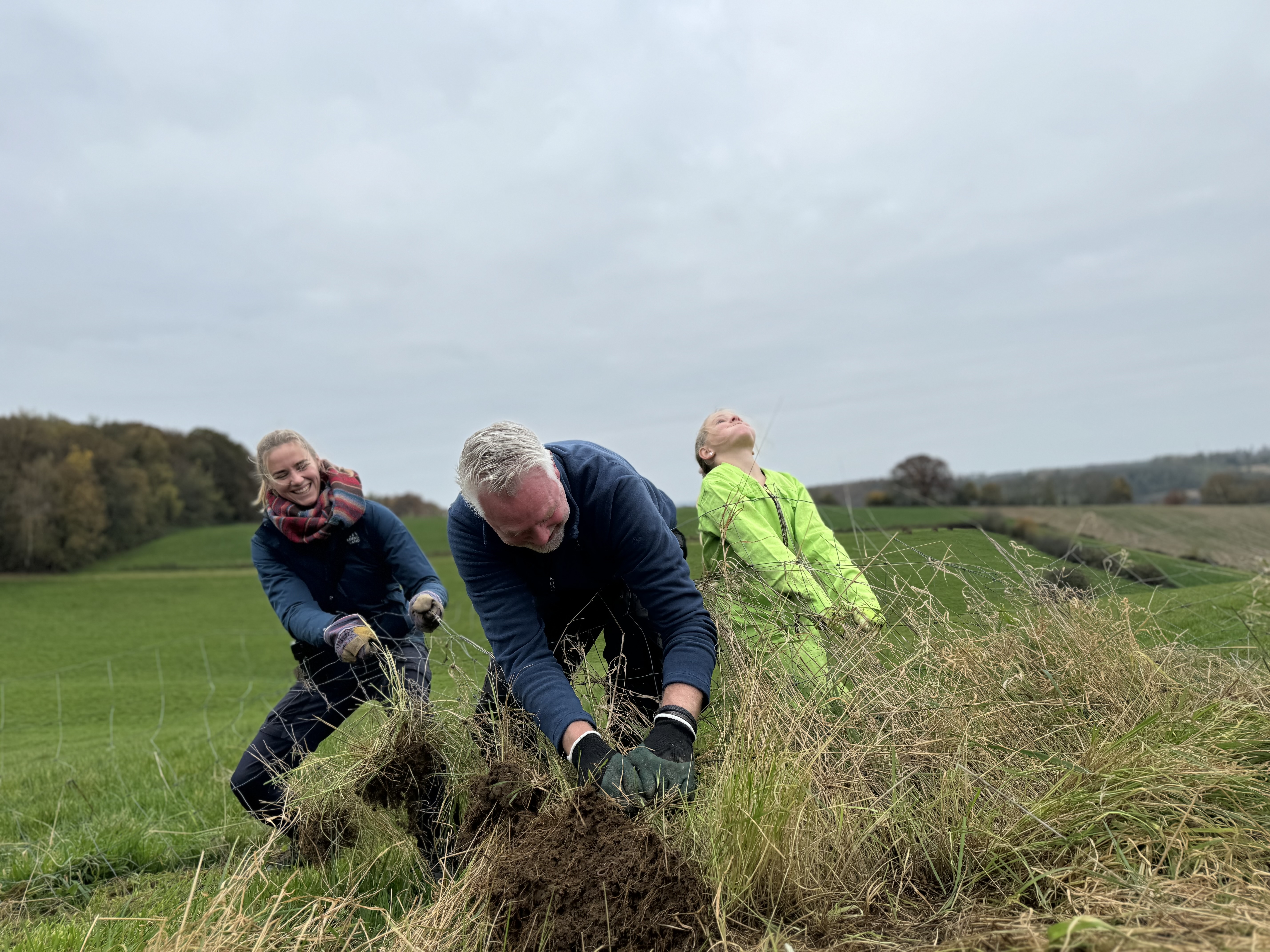 We trekken de hekken uit de begroeiing.