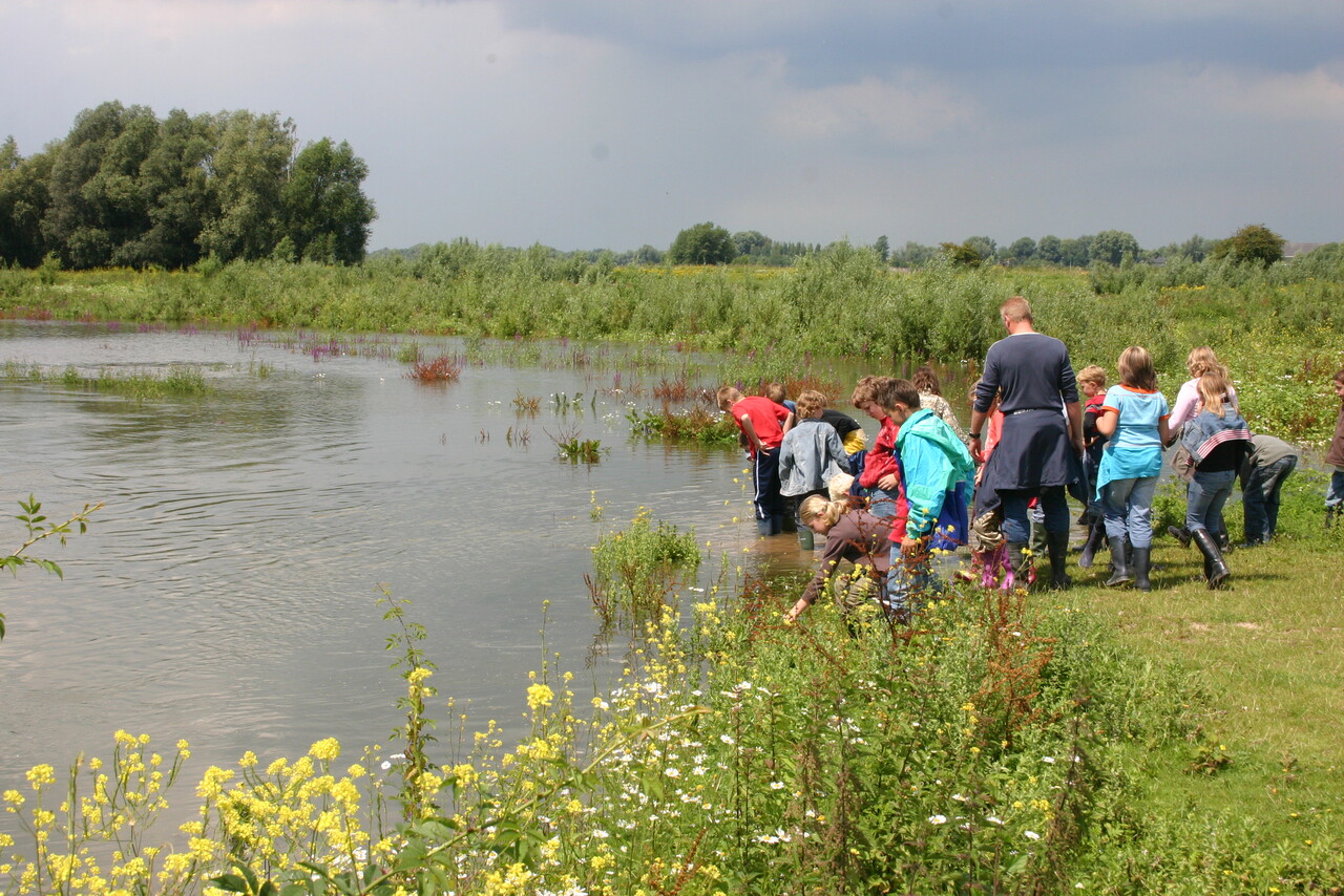 Veldles in Limburg bij hoogwater. 
