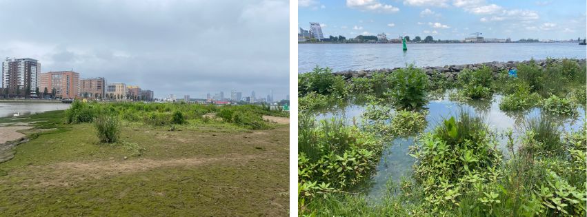 Blog Sophia strekdam oost en west