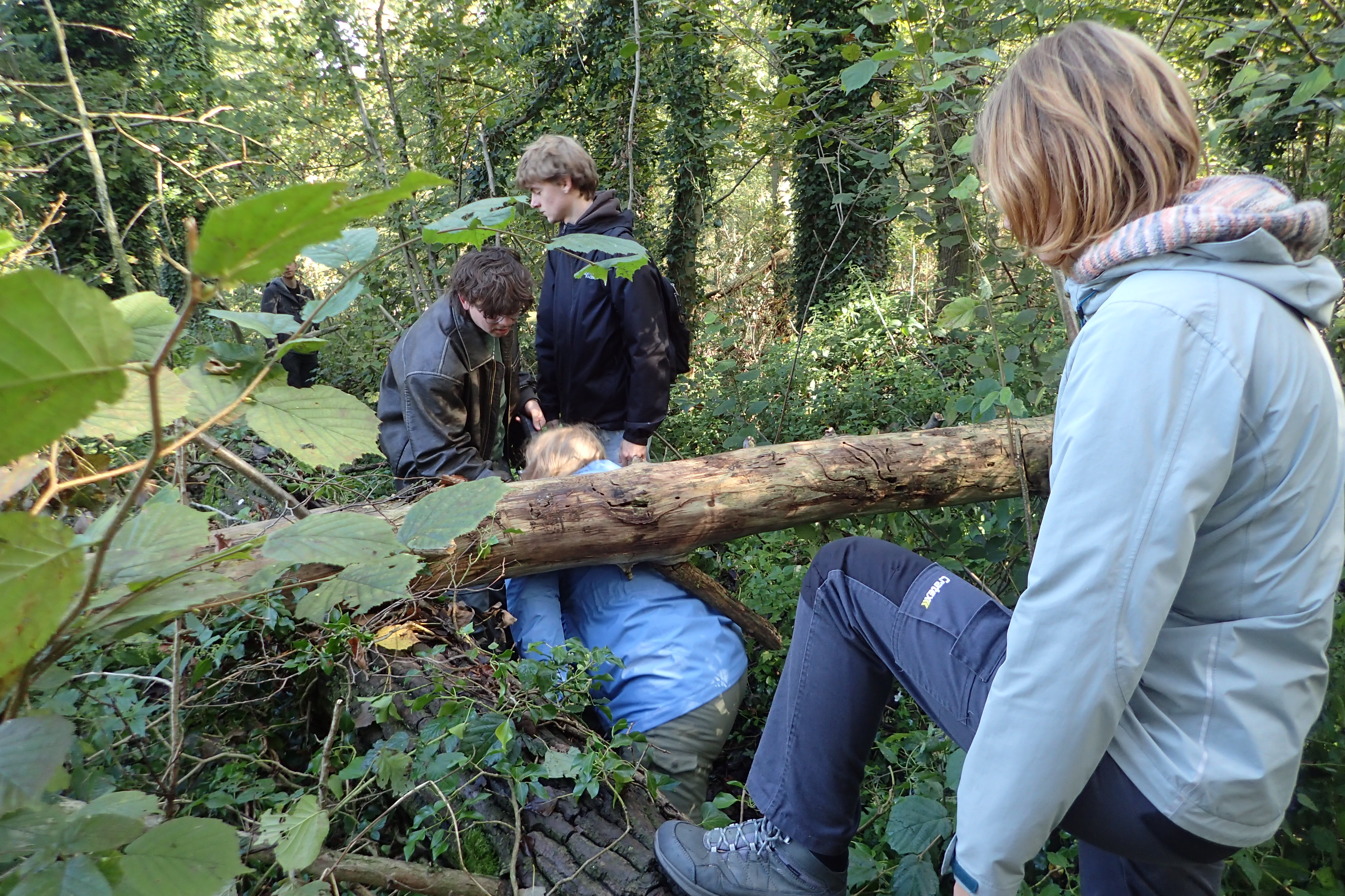 Struinen door het Groene Woud