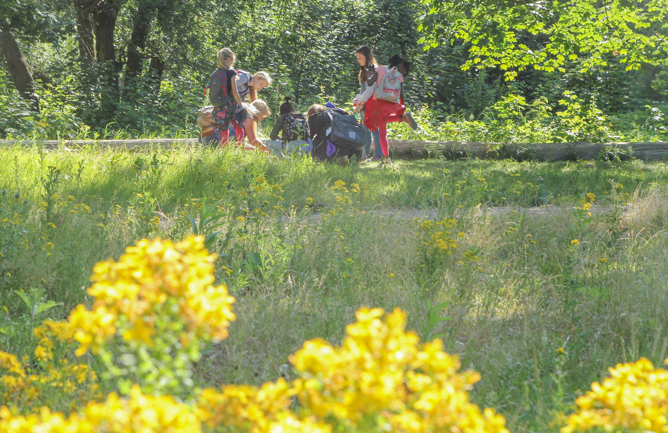 Veldles Eiland van Brienenoord