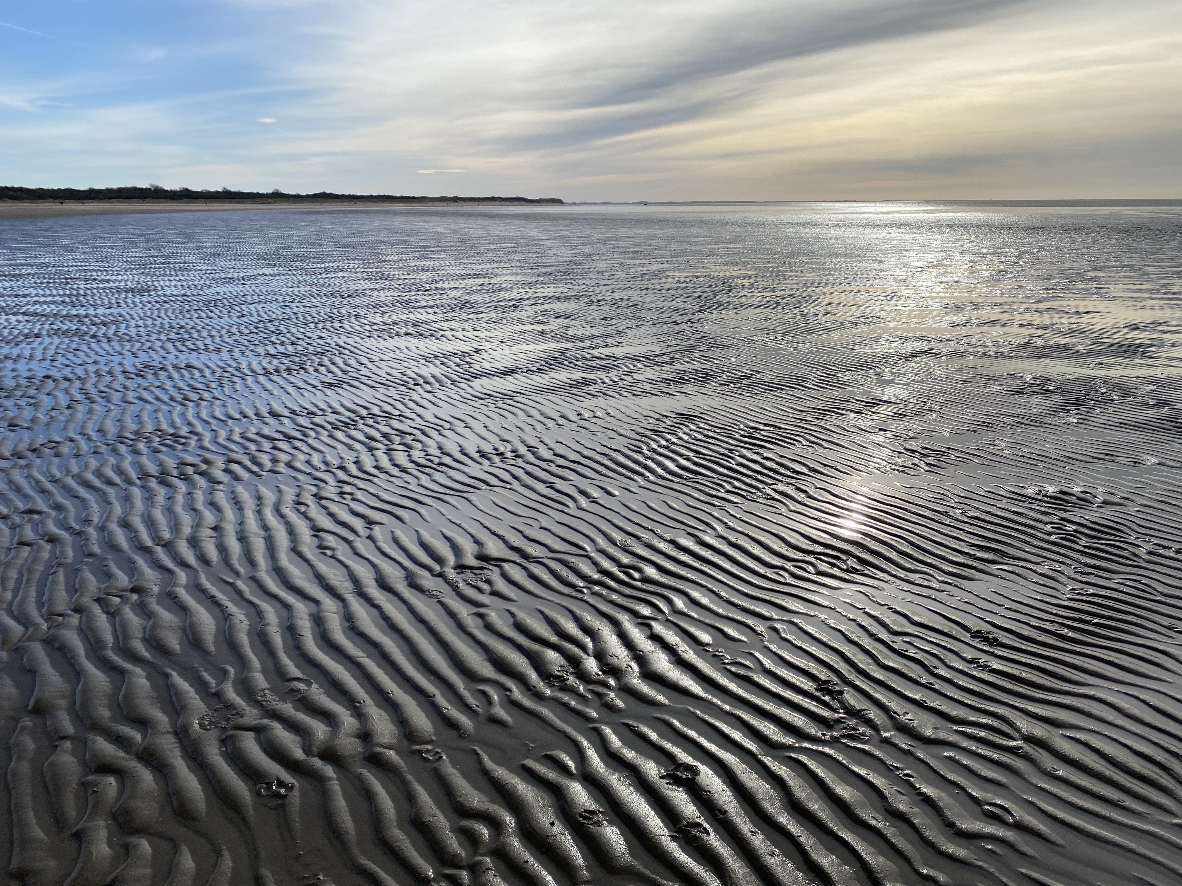 Slikken van Voorne bij laagwater (Francesc Montserrat)