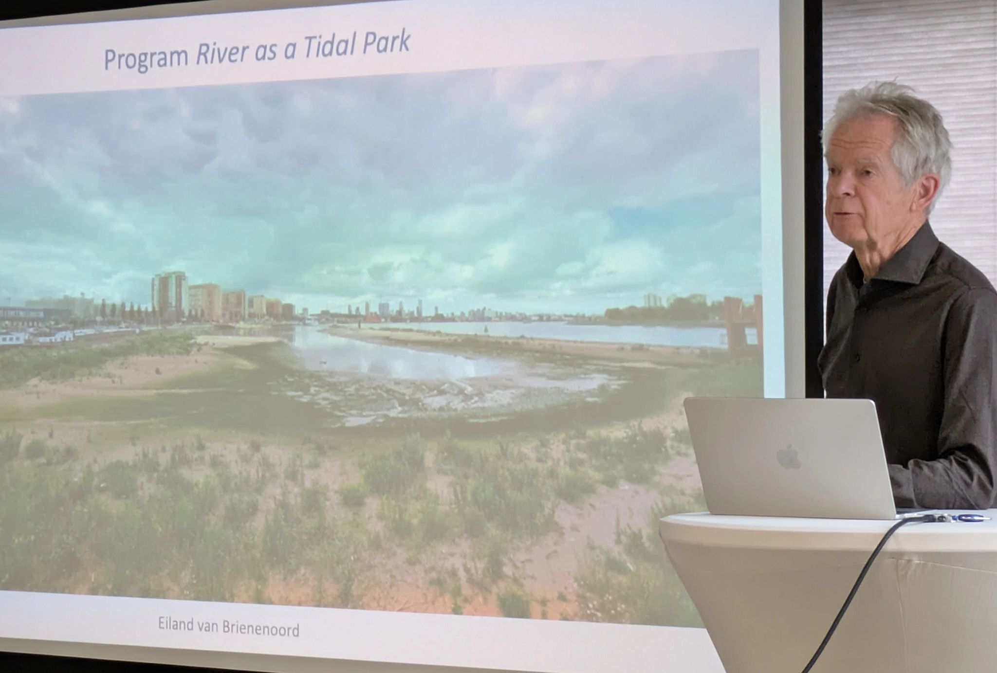 Professor Han Meijer