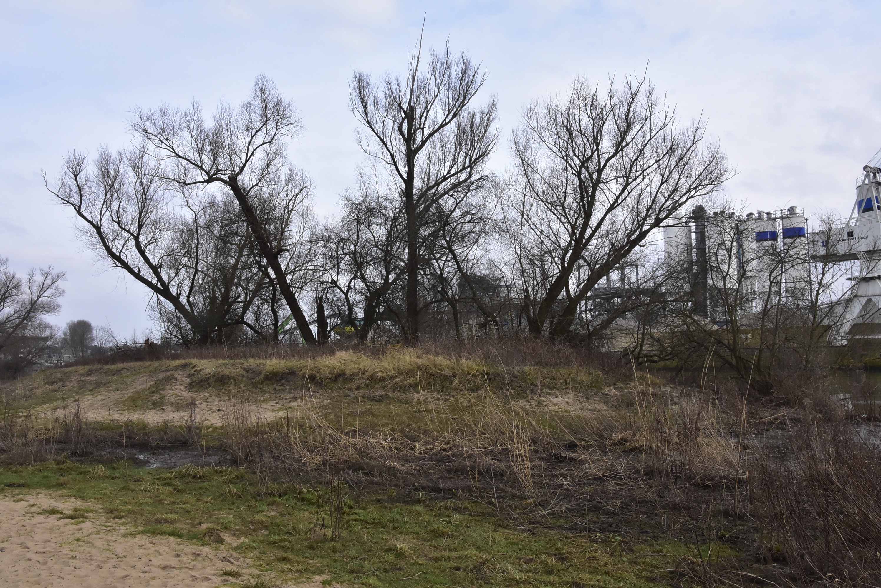 Hoogteverschil in de oever