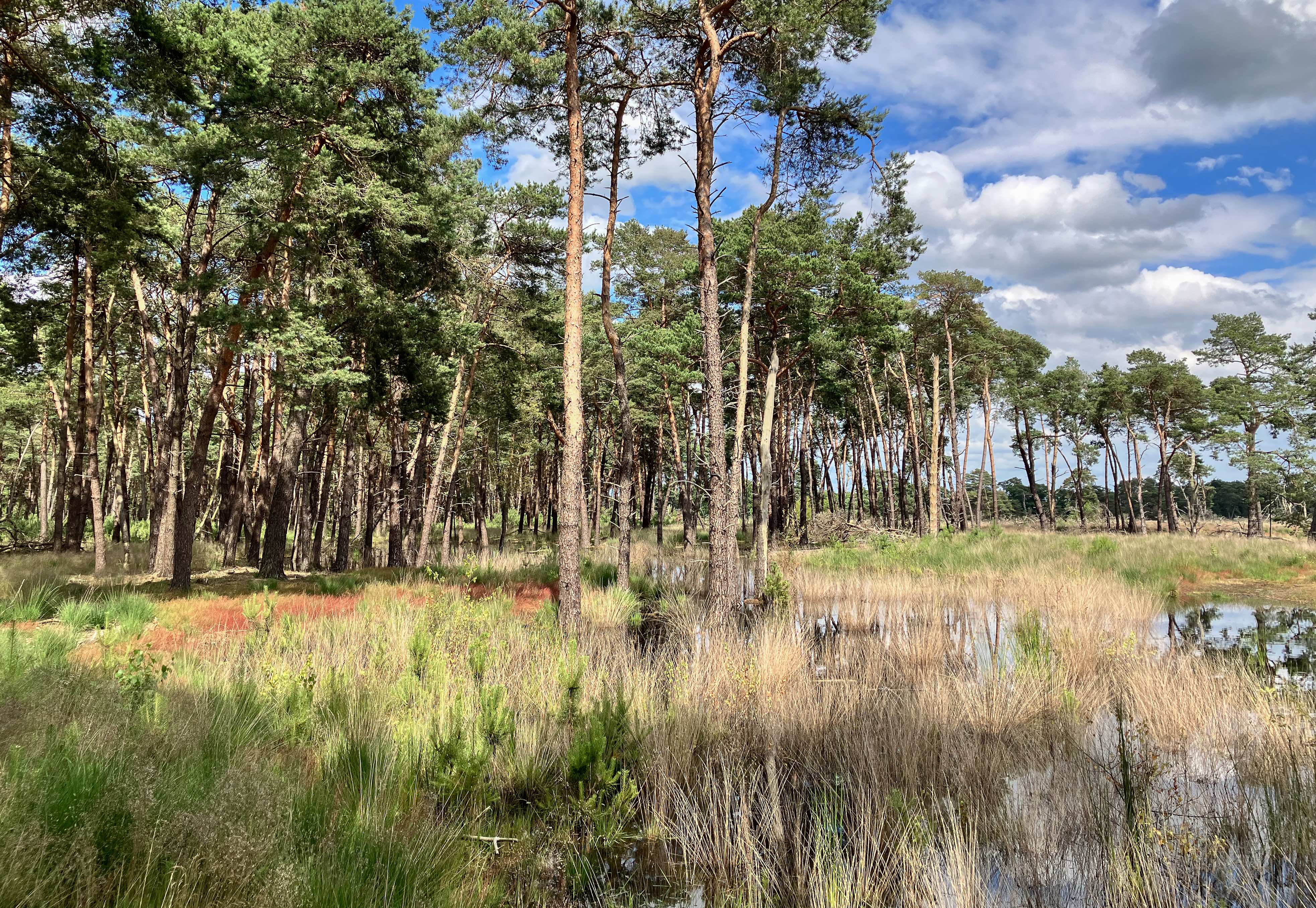 Schilderachtige onderzoekslocatie 