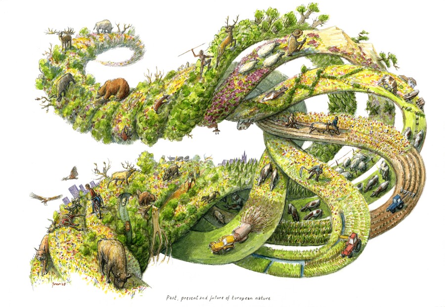 verleden, heden en toekomst van de Europese natuur