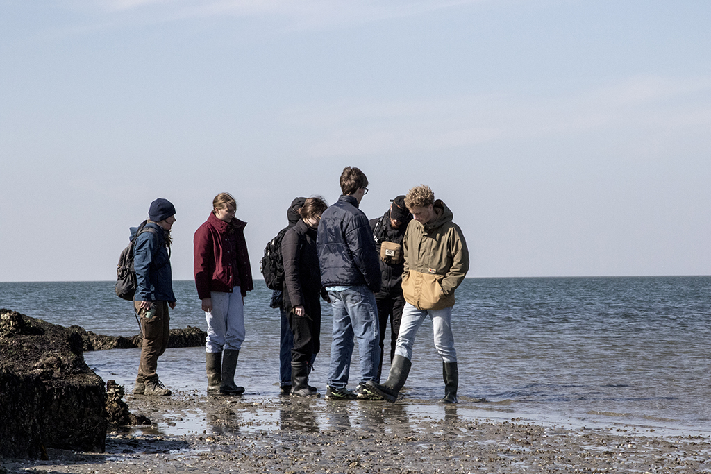 Studenten bezoeken de Voordelta