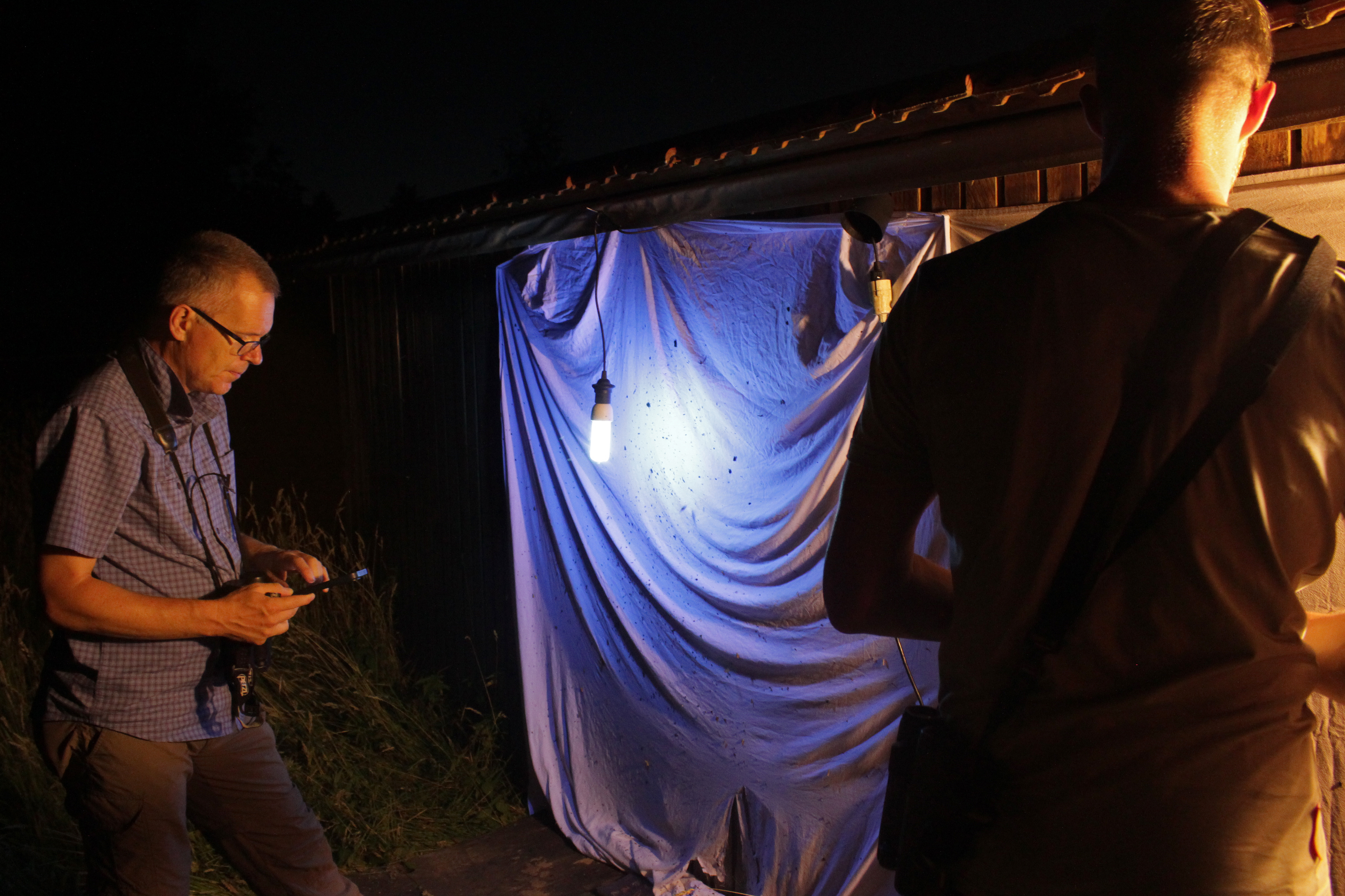 Deelnemers aan de BioBlitz in KempenBroek verzamelen zich 's avonds rond een wit laken waarvoor een UV-lamp hangt. De nachtvlinders en andere insecten die door het UV-licht worden aangetrokken landen op het witte doek. Daar worden ze goed bekeken en gefotografeerd. 