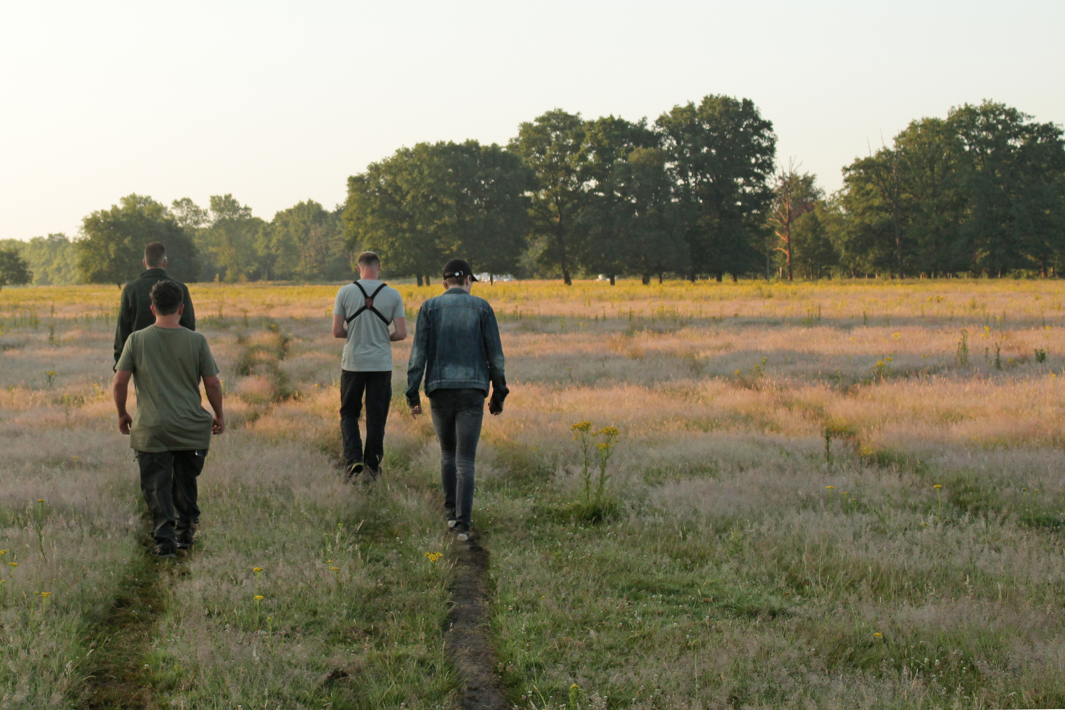 Een groep deelnemers aan de BioBlitz in KempenBroek struint in alle vroegte door het natte gras. Ze hopen nieuwe soorten te ontdekken die eerder in het weekend nog niet zijn waargenomen.