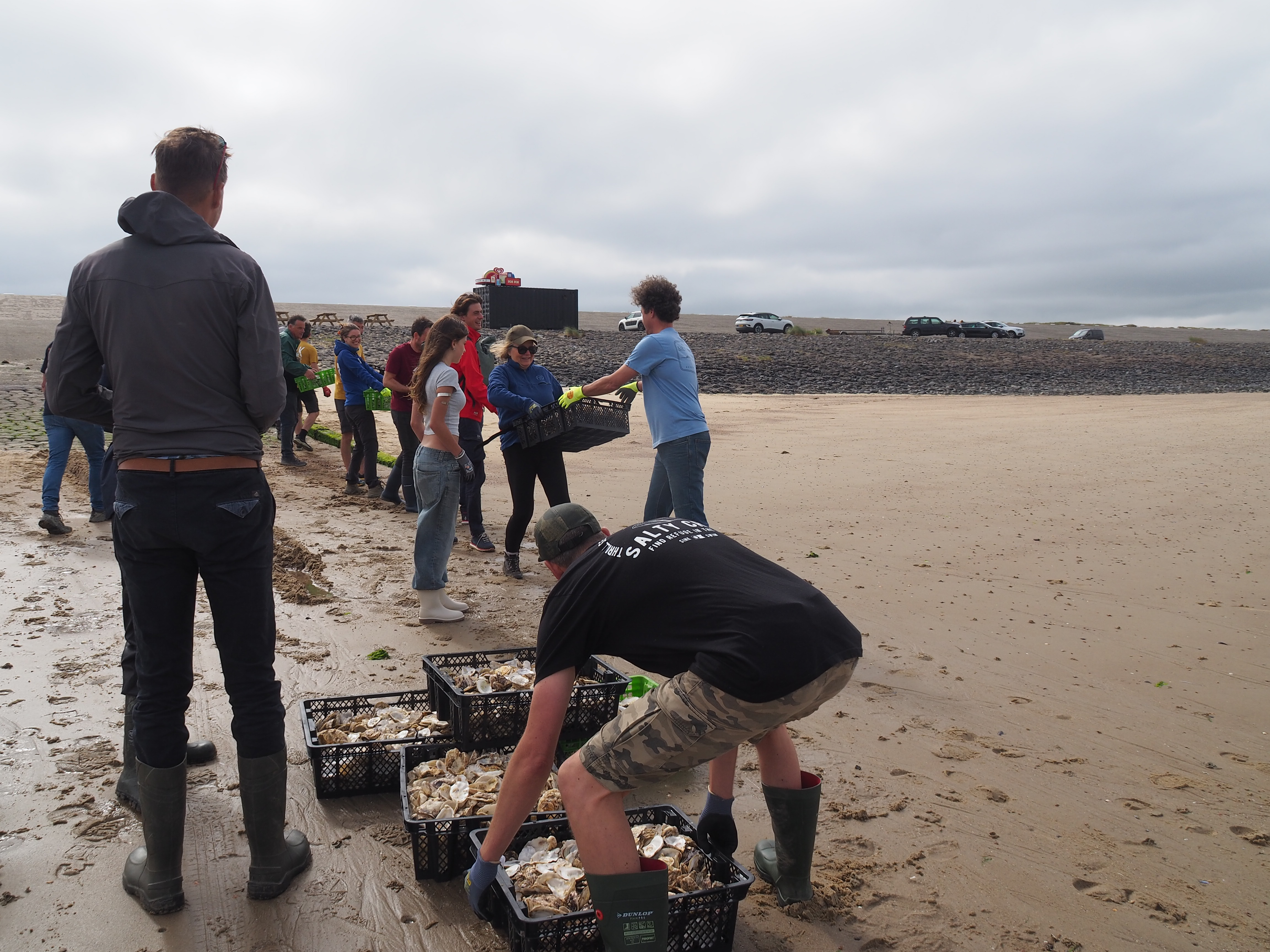 Oesters treintje naar zee door Seascape Collectief