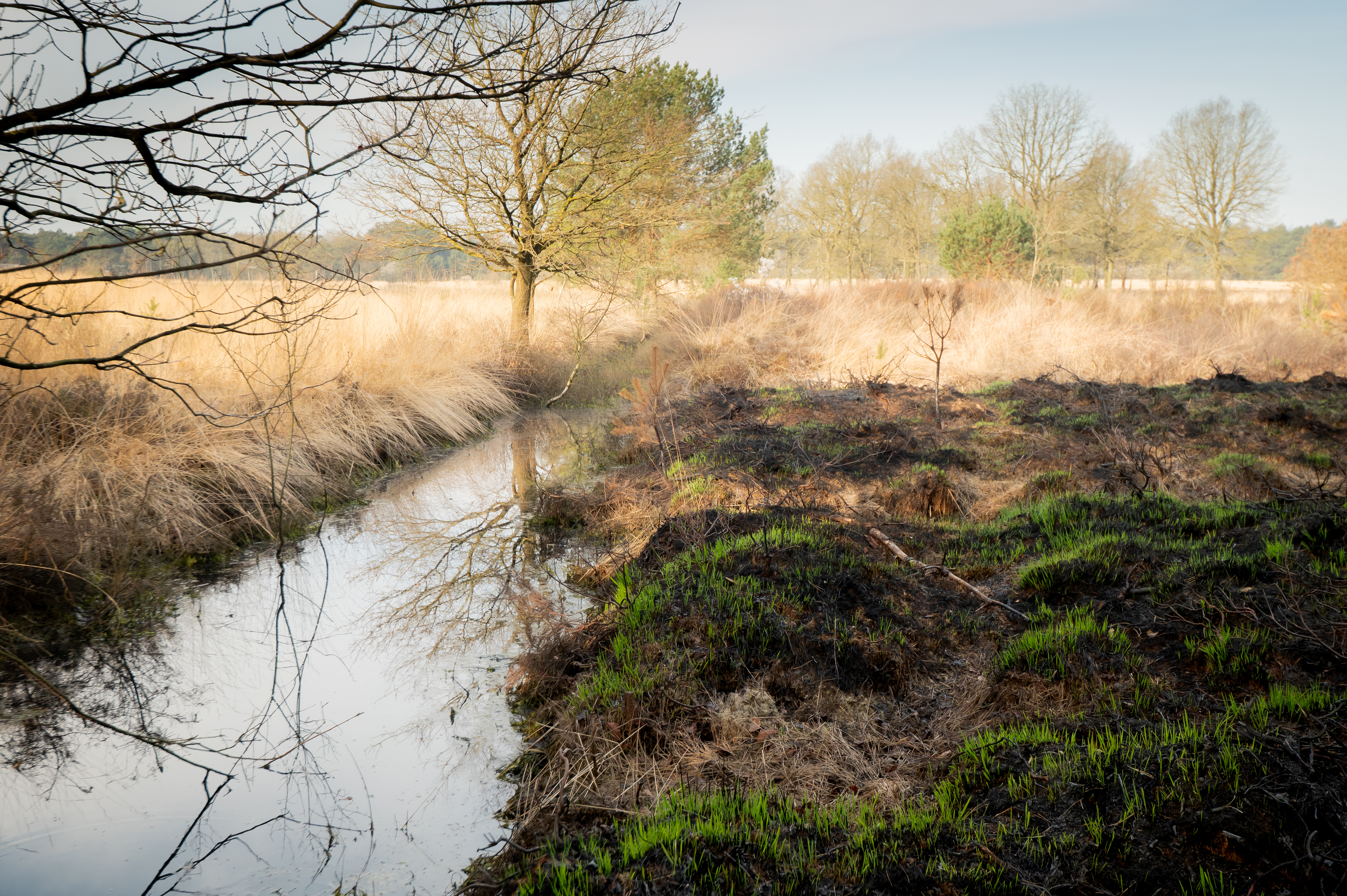 Een brede sloot vomt een krachtige grens en wist het verbrande terrein te begrenzen