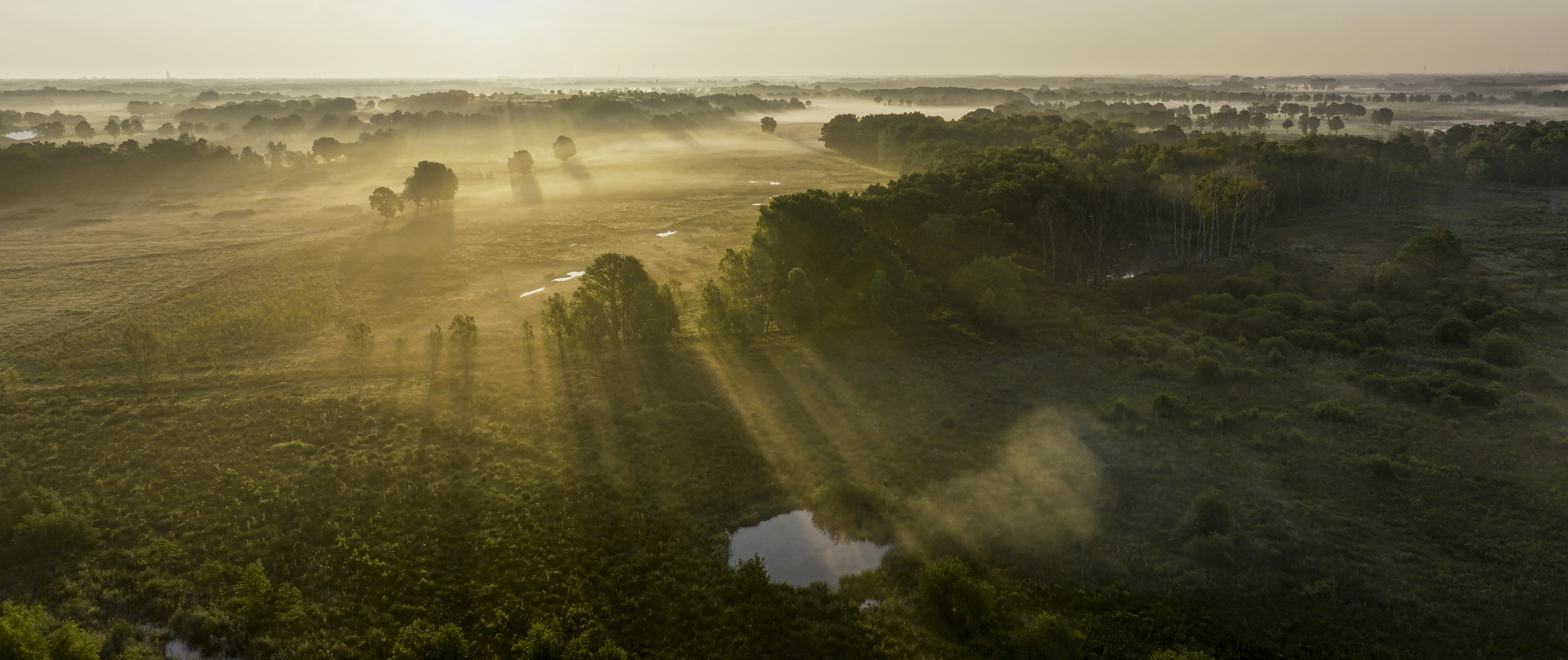 Rewildingslandschap in het KempenBroek