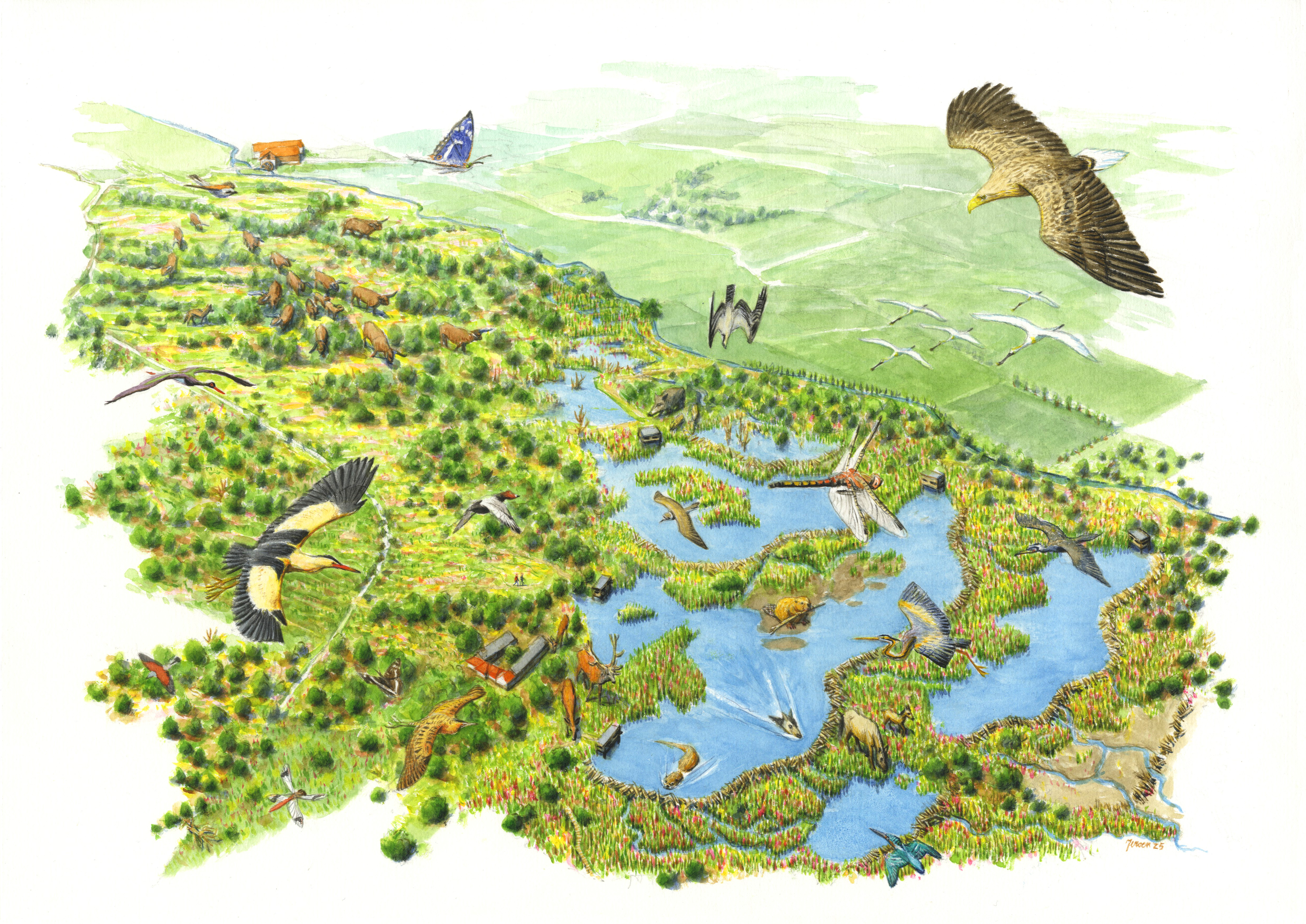 Toekomstvisie van De Luysen getekend door Jeroen Helmer