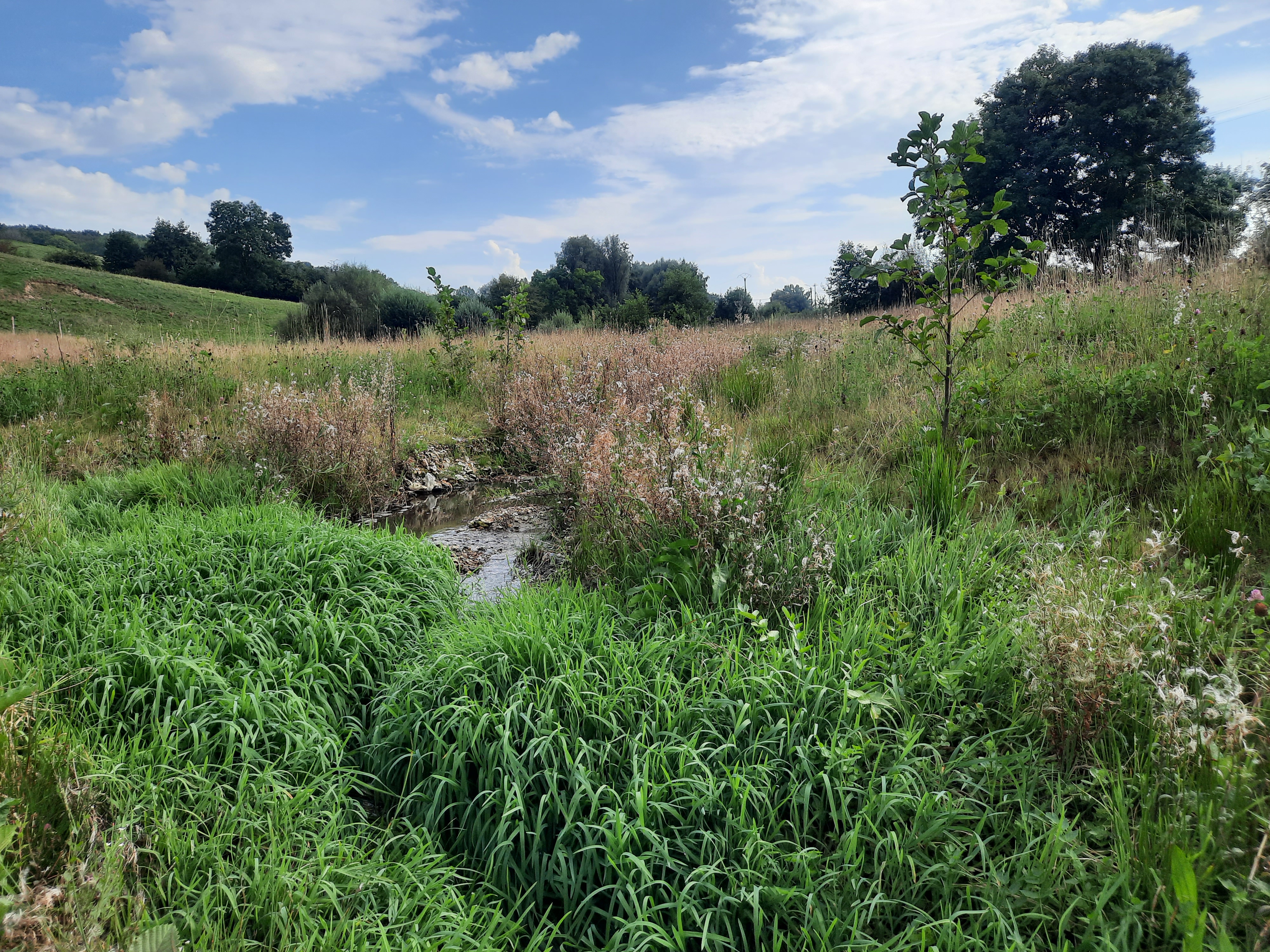 Sponslandschap in Zuid-Limburg