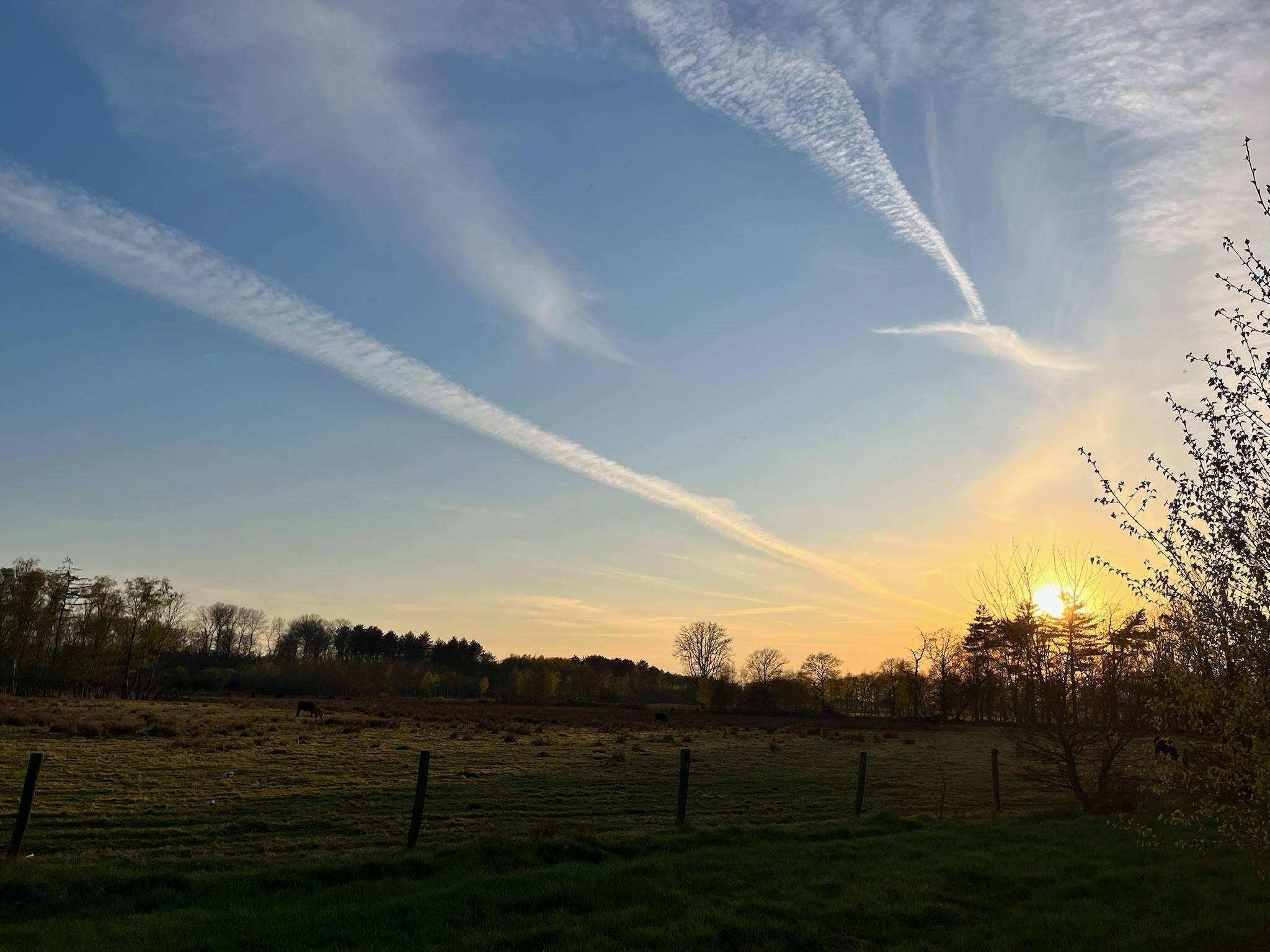 KempenBroek