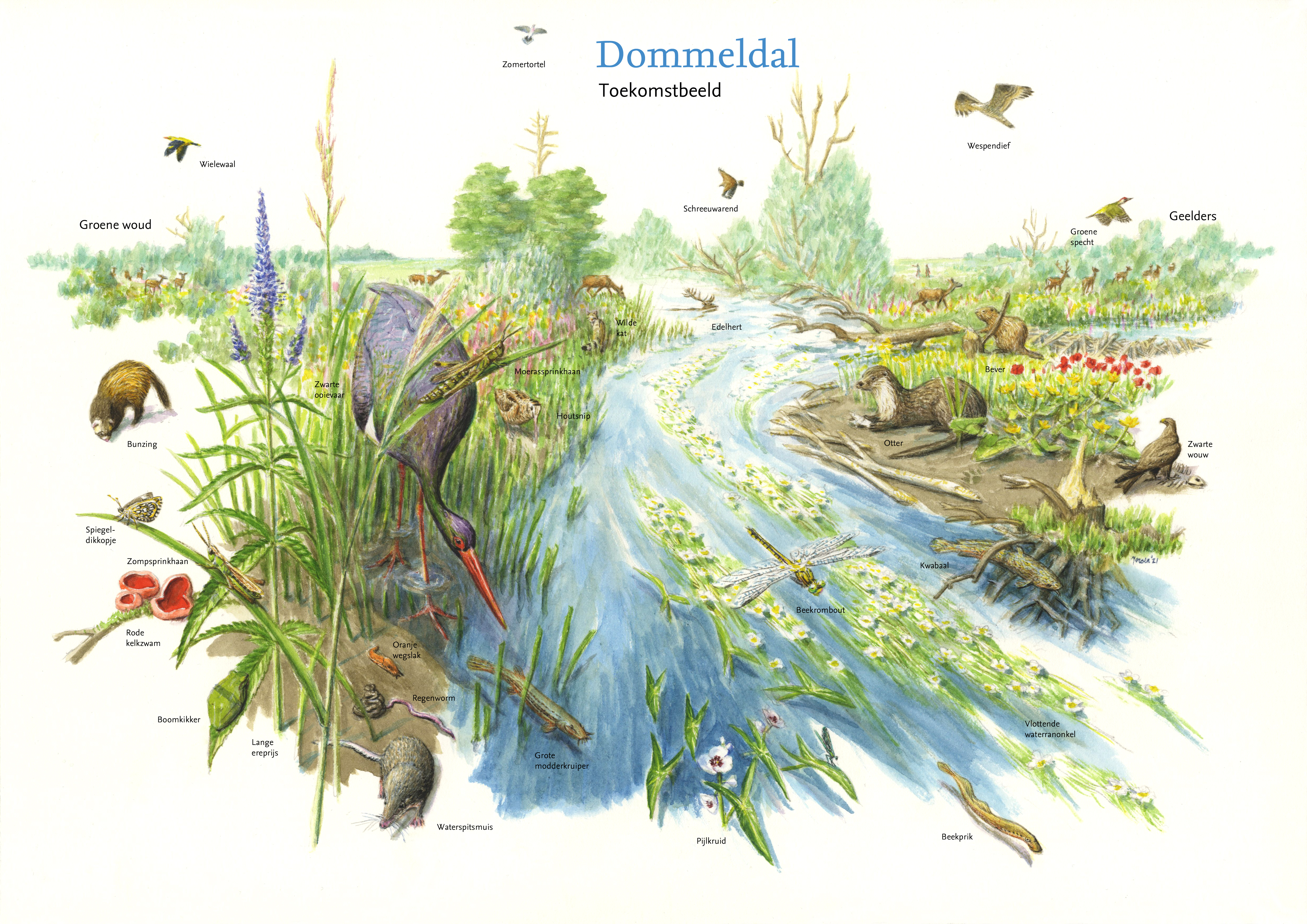 Dommeldal toekomstbeeld