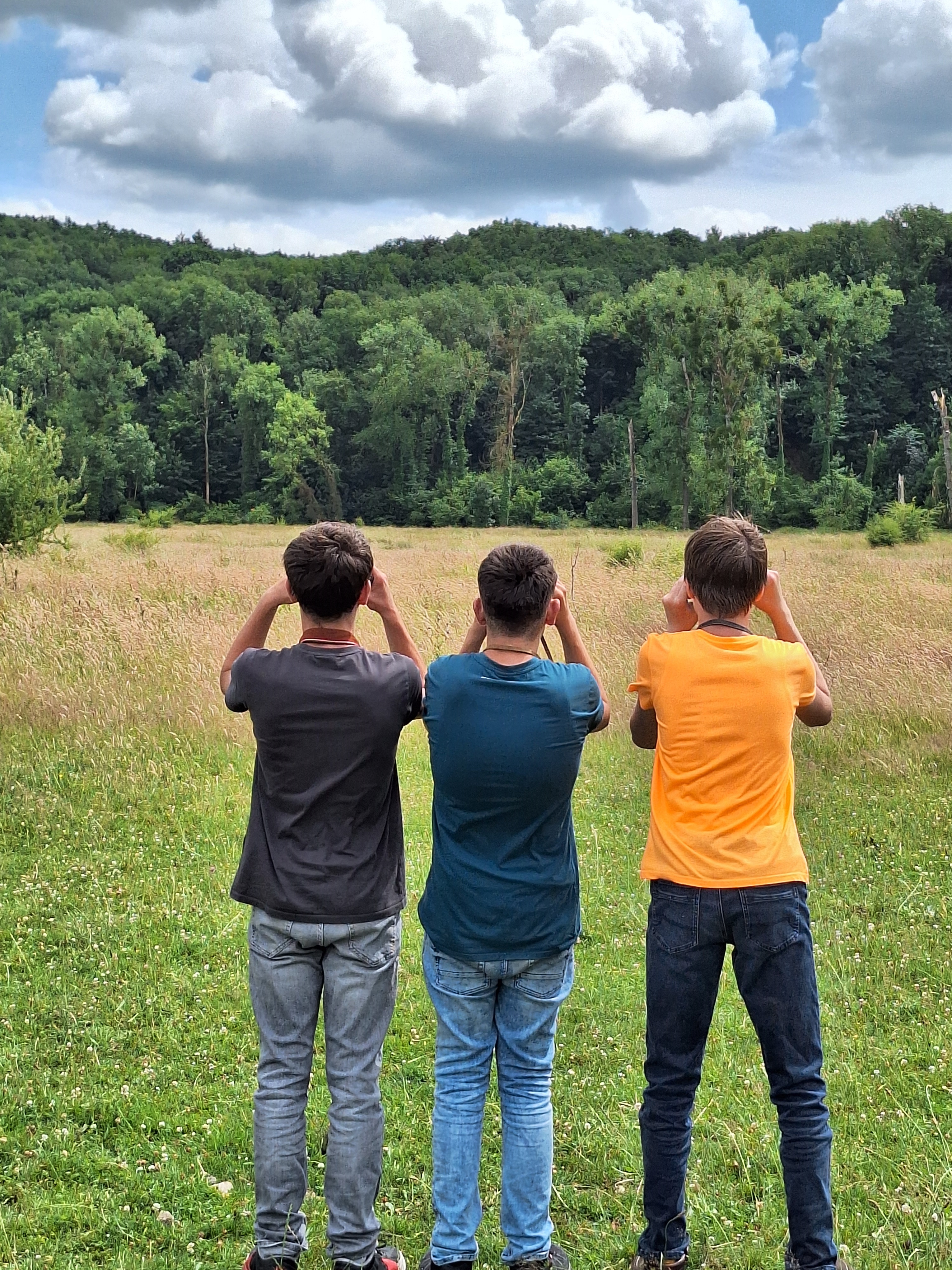 325 kinderen op struintocht in het Beneden-Geuldal