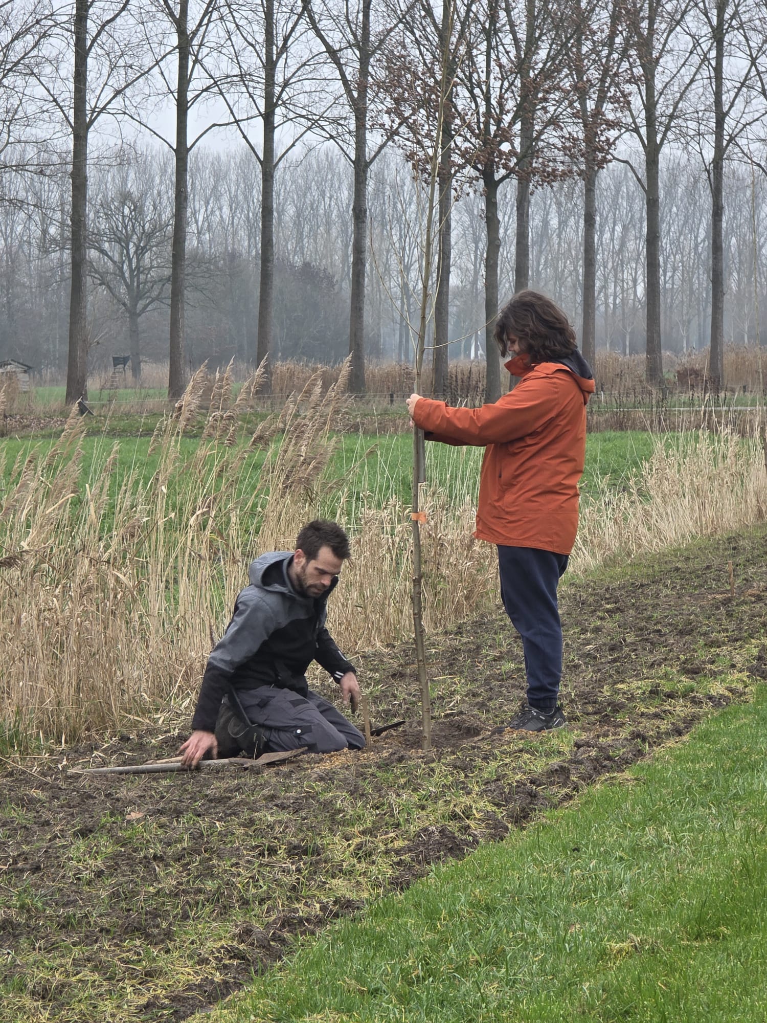 Medewerkers van Stichting 't Broekbos planten een deel van het terrein aan