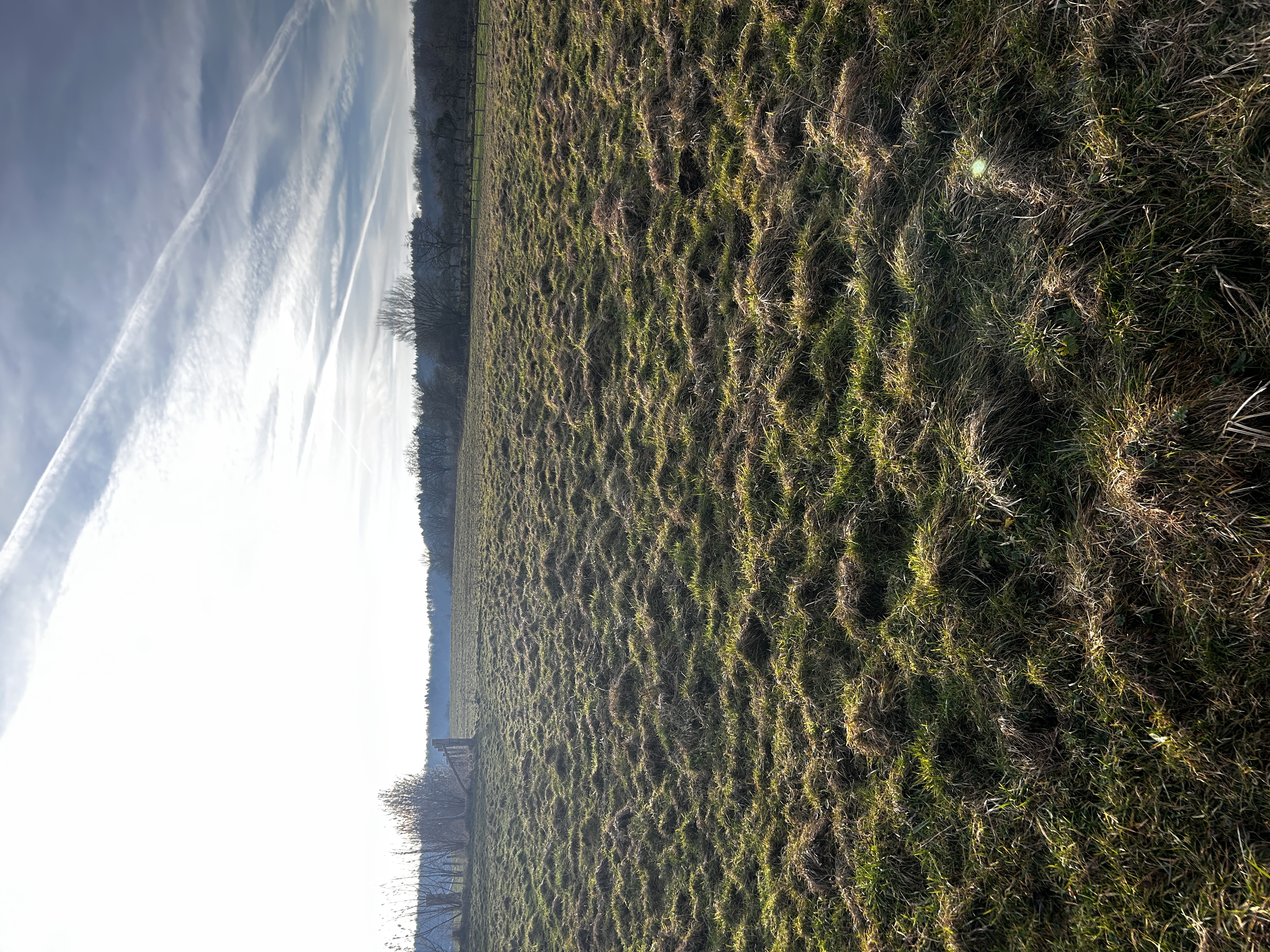 Winterlandschap Zuid-Limburg