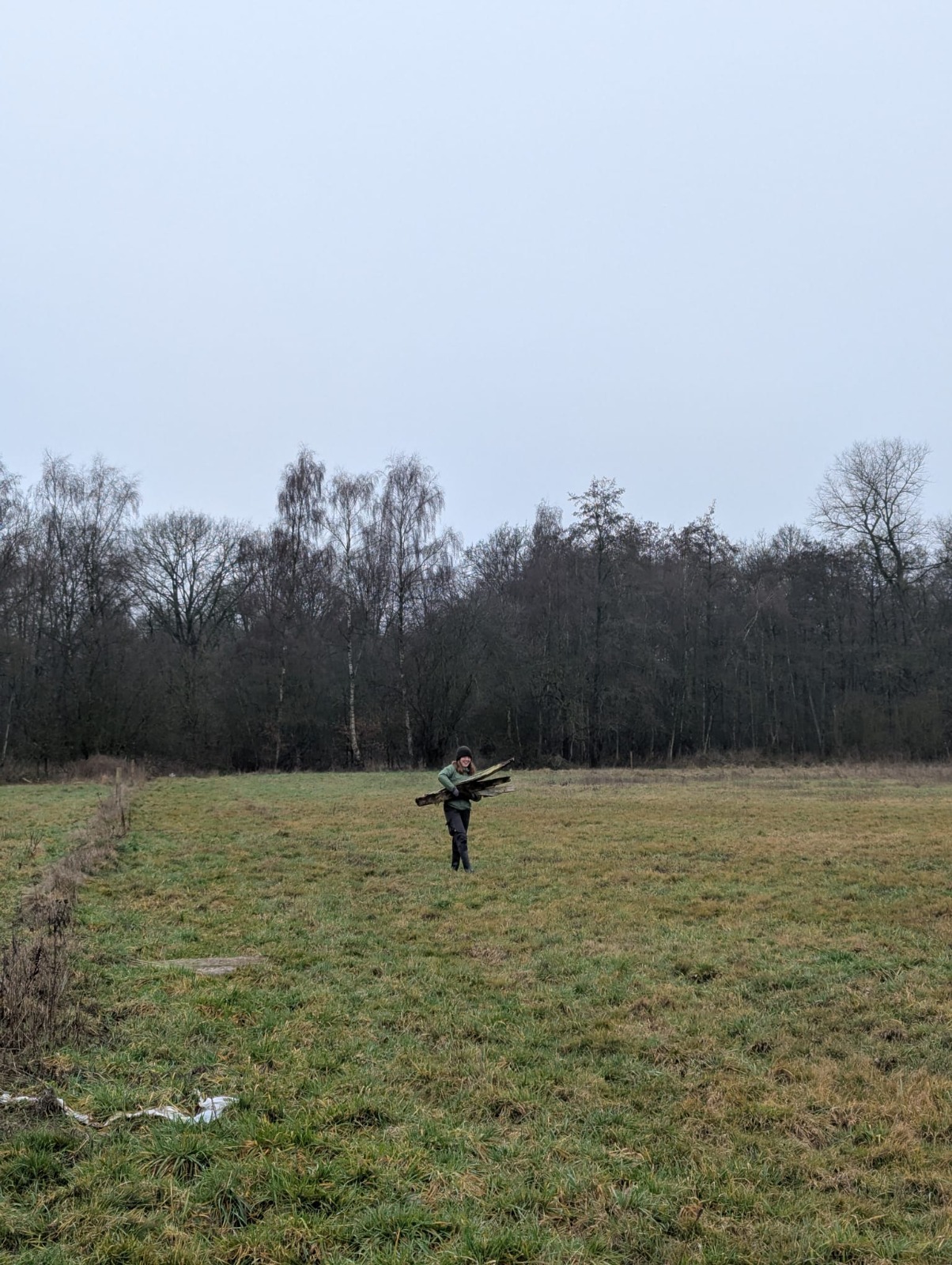 Jonge Rewilders aan het onthekken in KB
