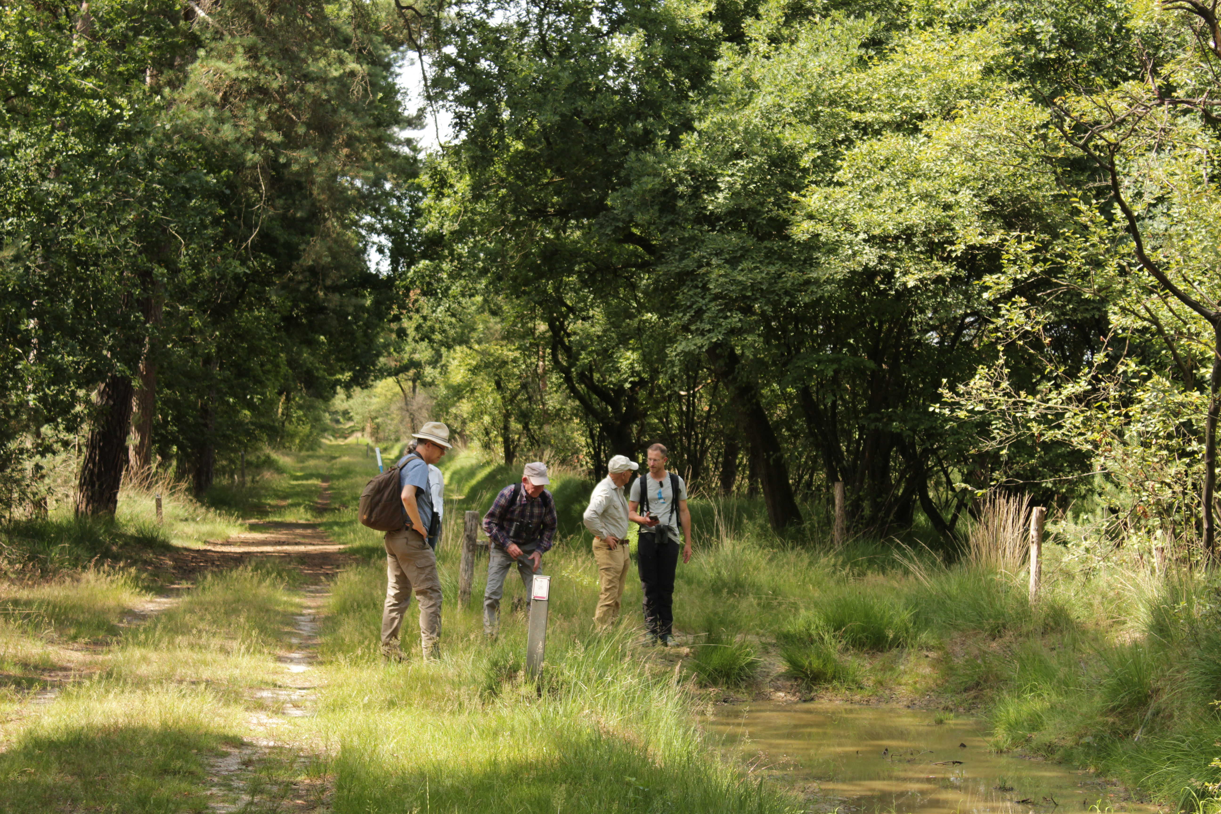 Deelnemers op pad tijdens het succesvolle Bioblitz weekend