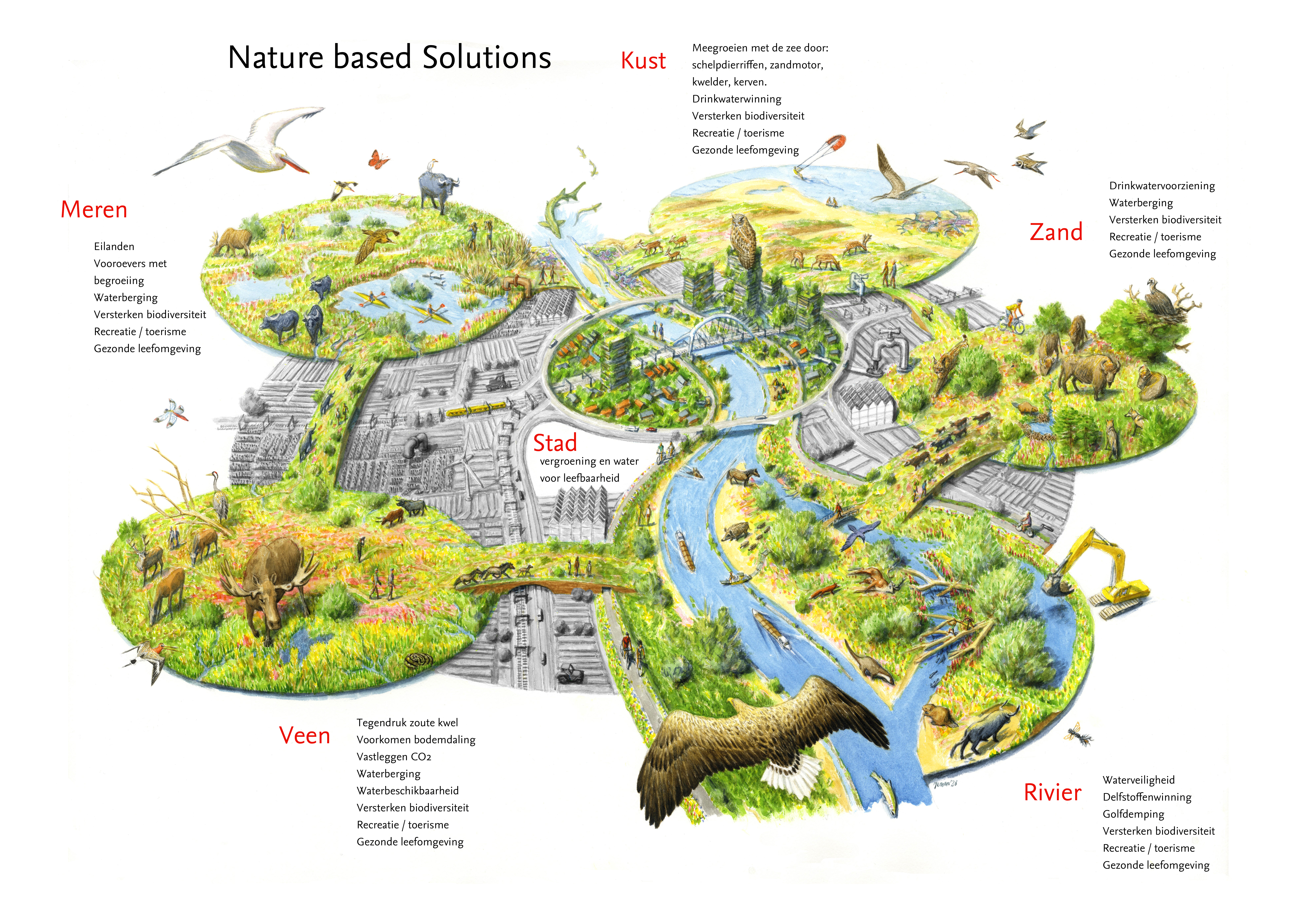 Illustratie Nature-based solutions door Jeroen Helmer