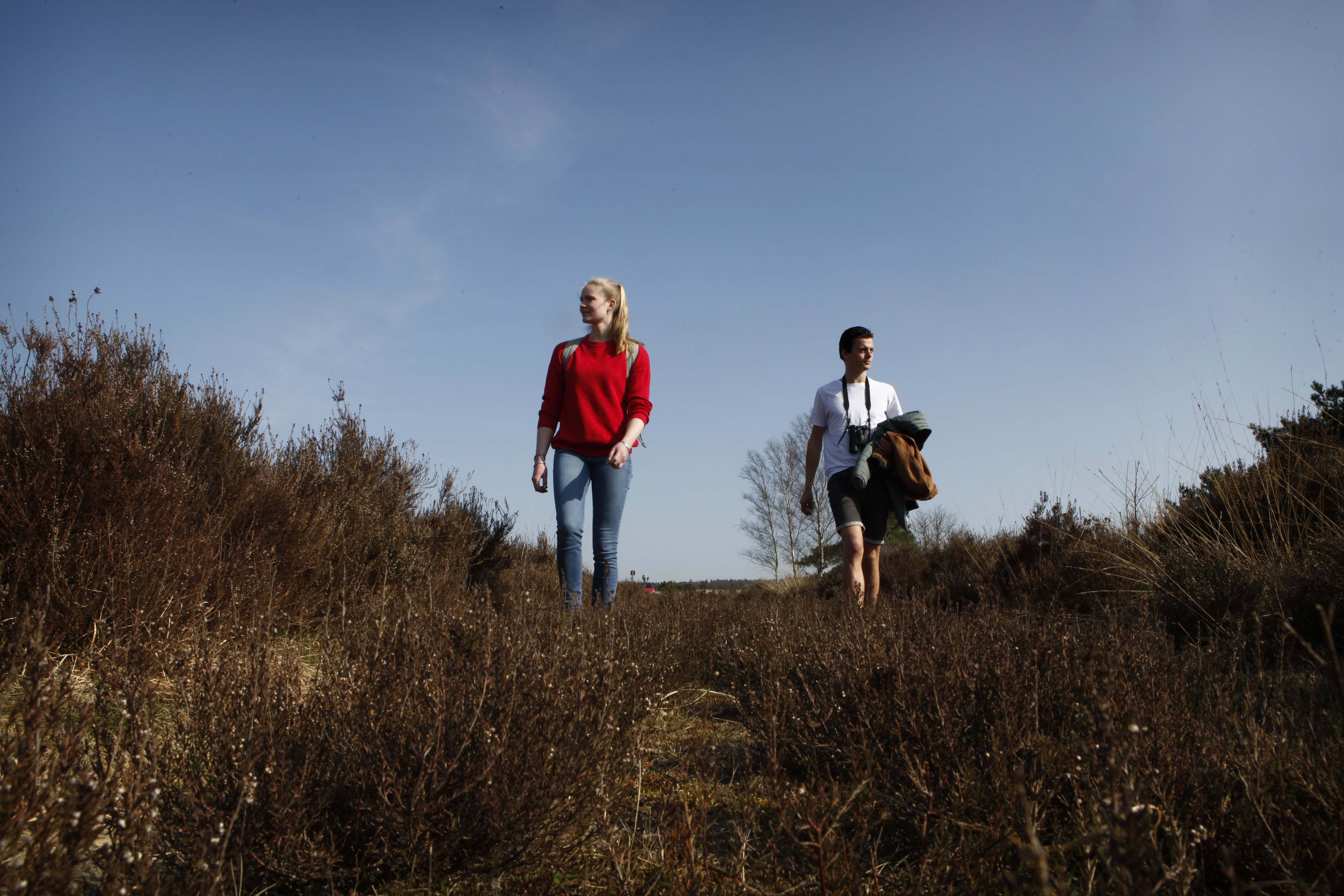 Kadaverjacht op de Veluwe, onderzoek stagiairs Marleen en Domien naar wolf en aaseters