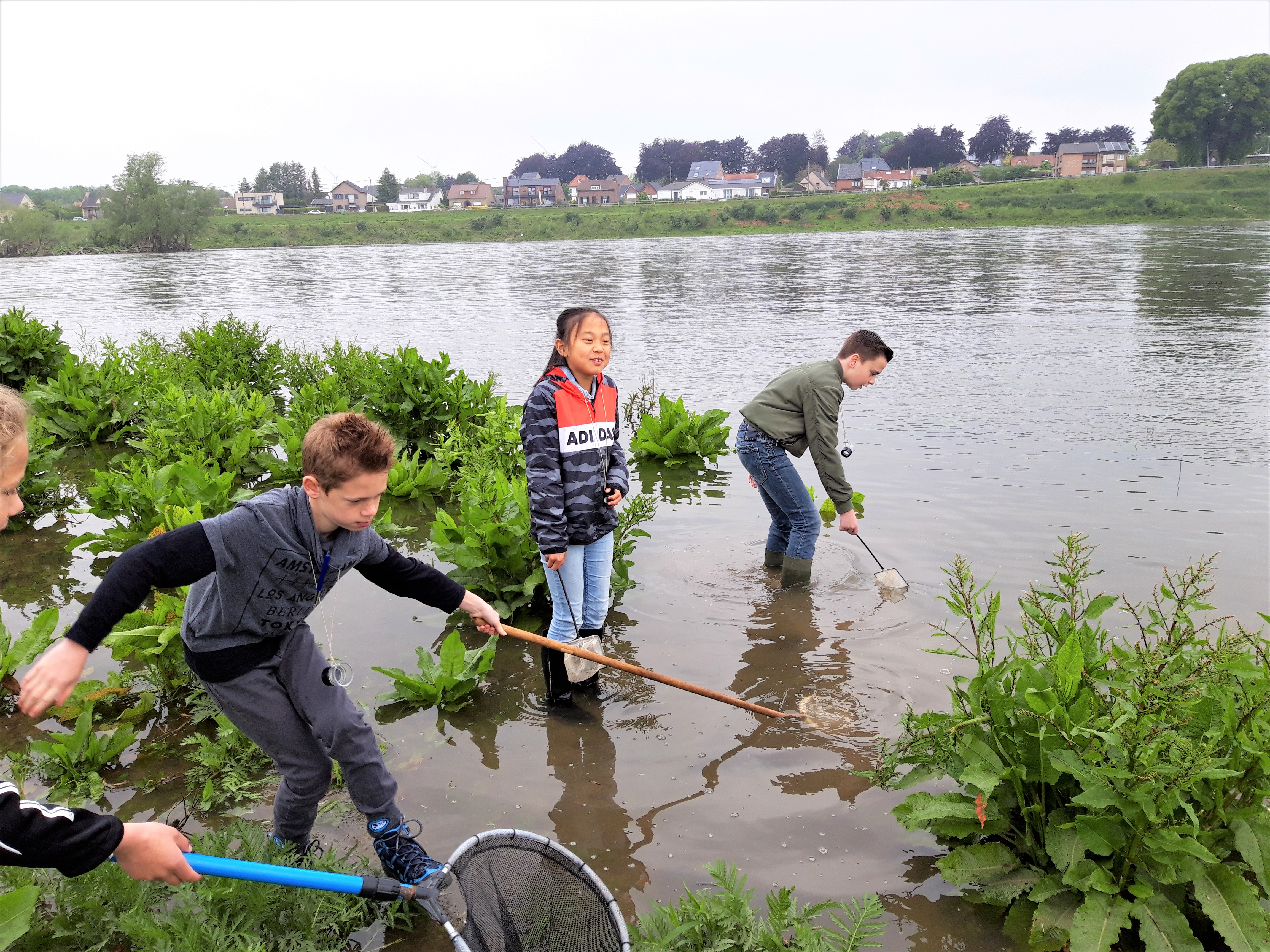 Altijd spannend wat er in het schepnet zal zitten! (Foto: Josien van Boekel)