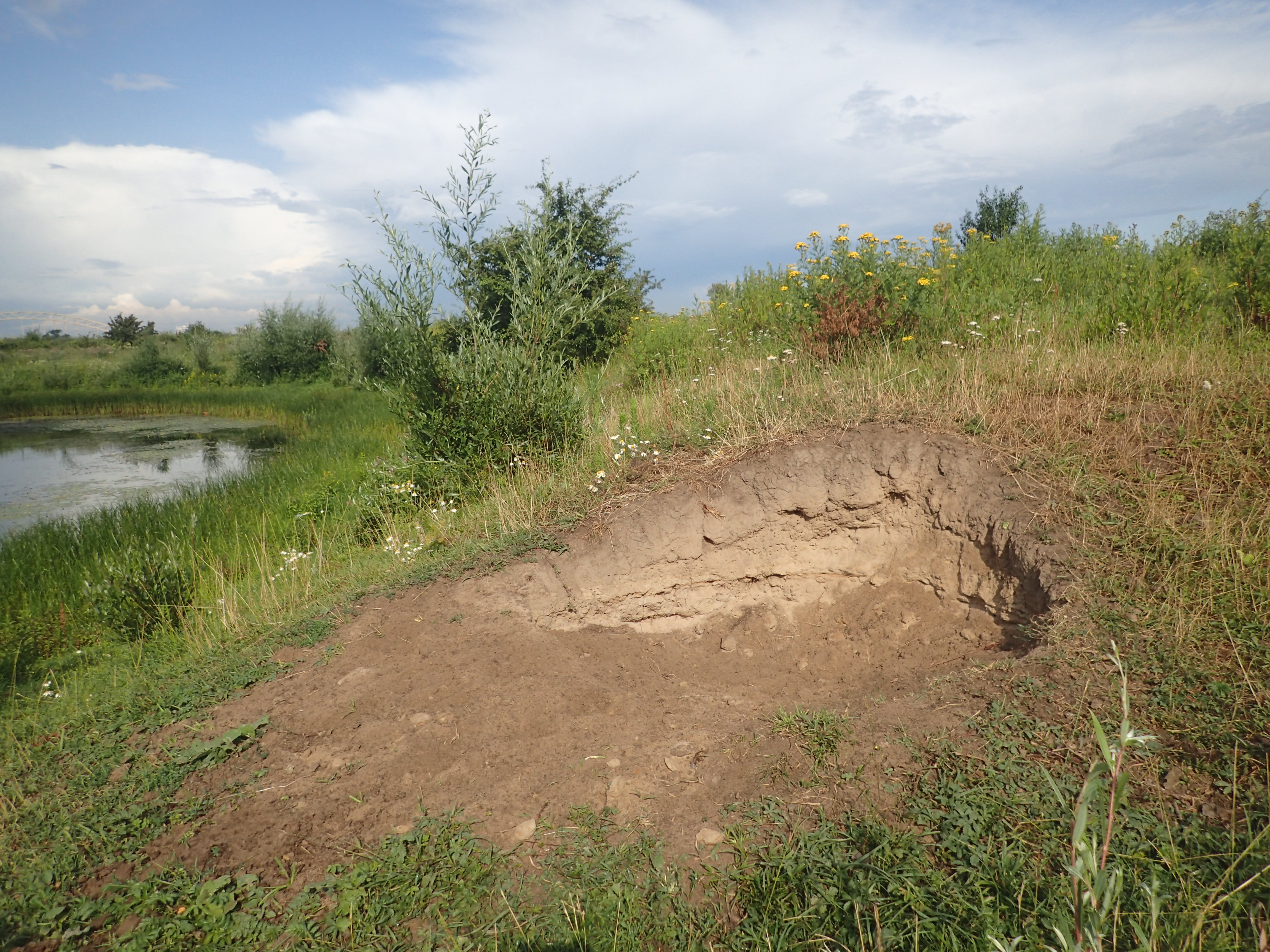 Stierenkuil ((Foto: Jeroen Helmer)