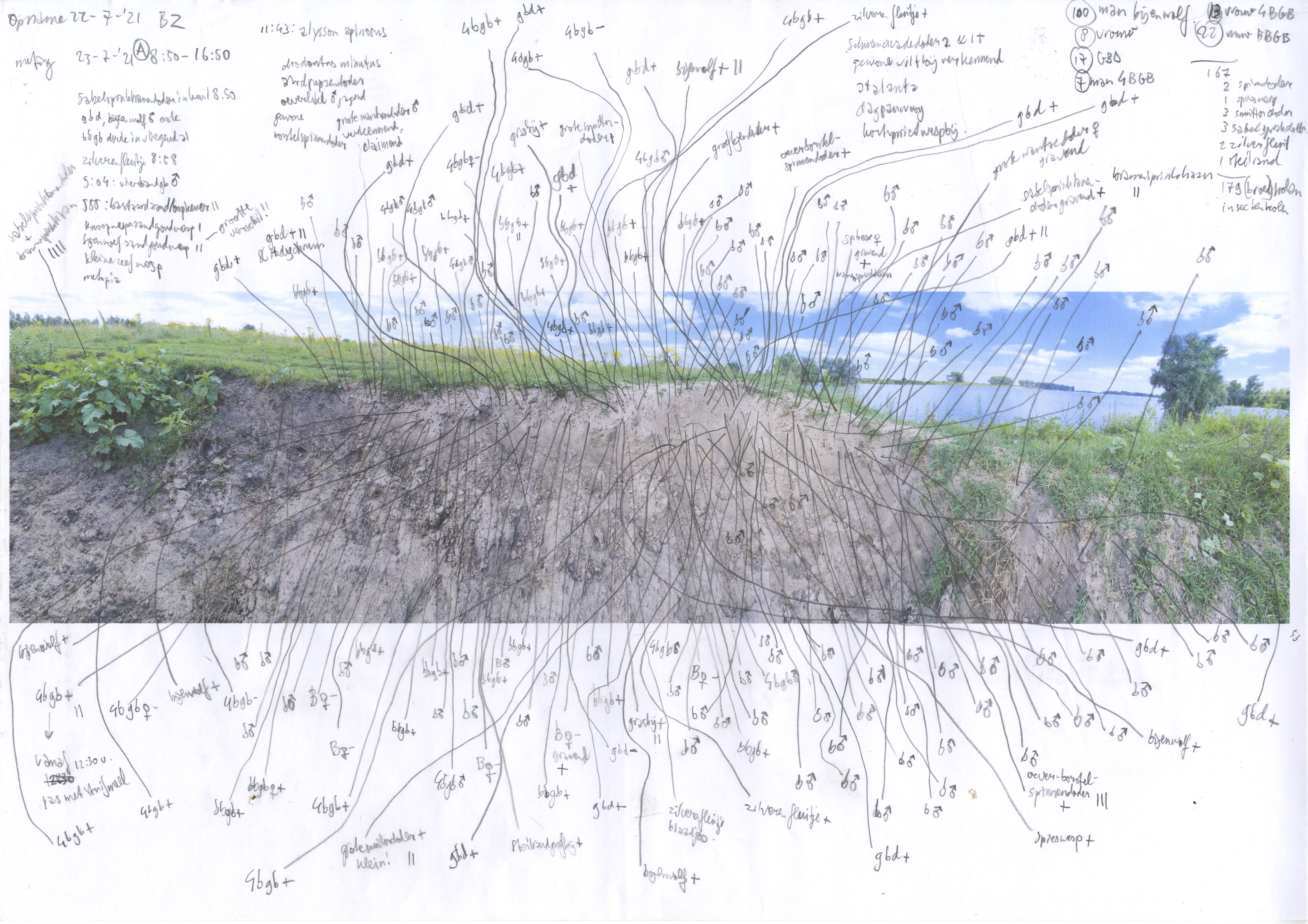 Aantekeningen uit de stierenkuil '21