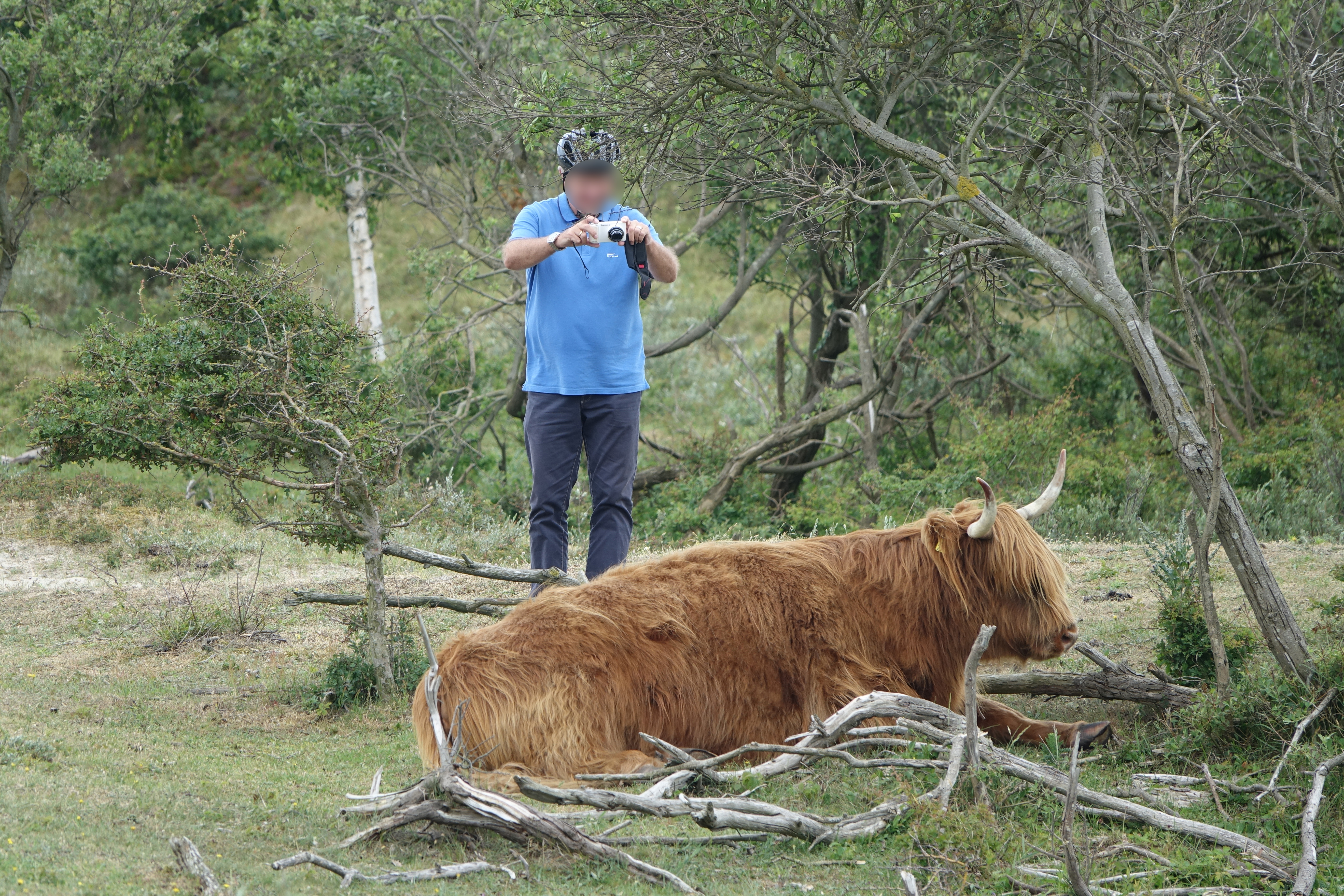 Gun de grazers ruimte, rust en privacy. Die hebben ze nodig.