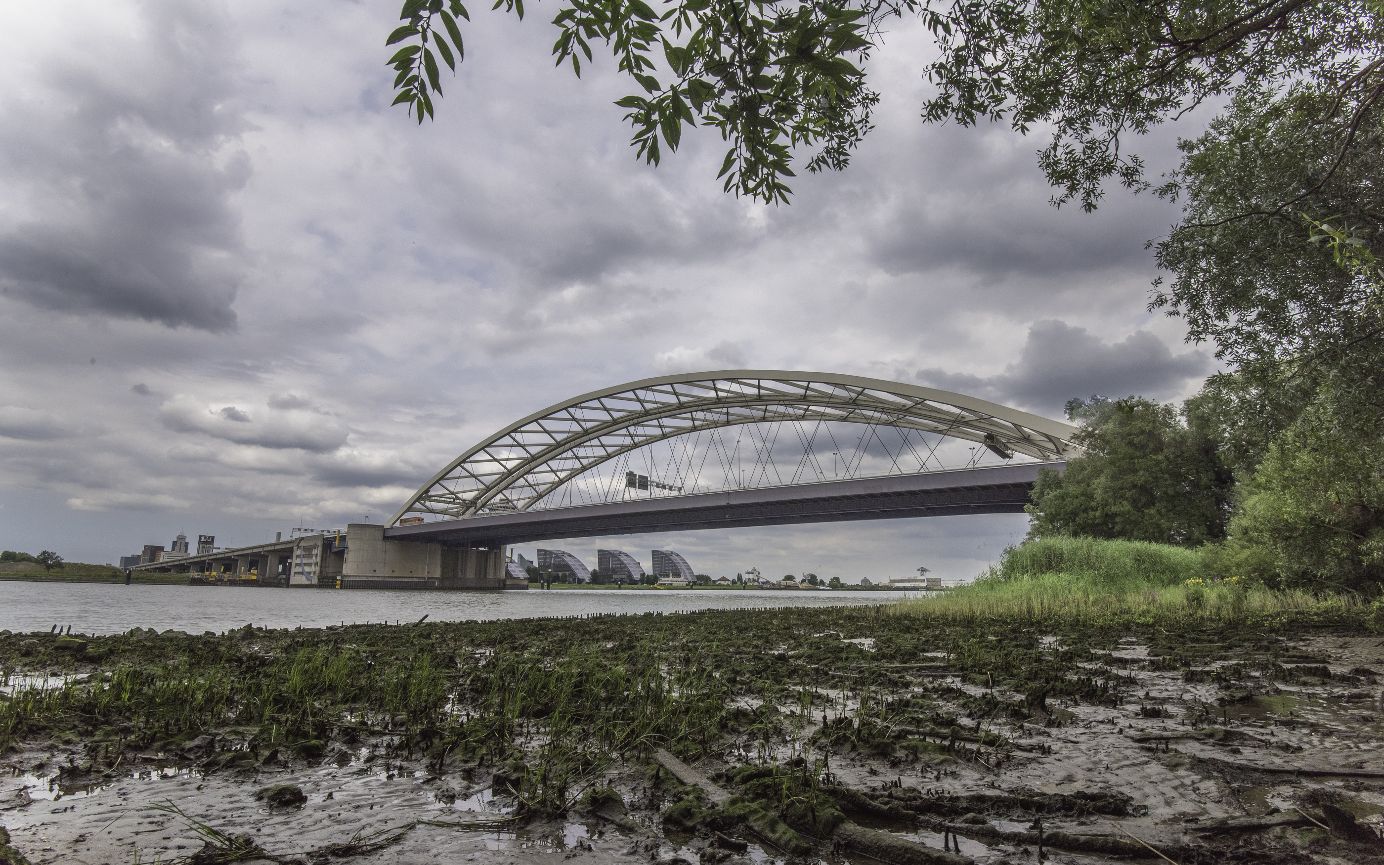 Eiland van Brienenoord