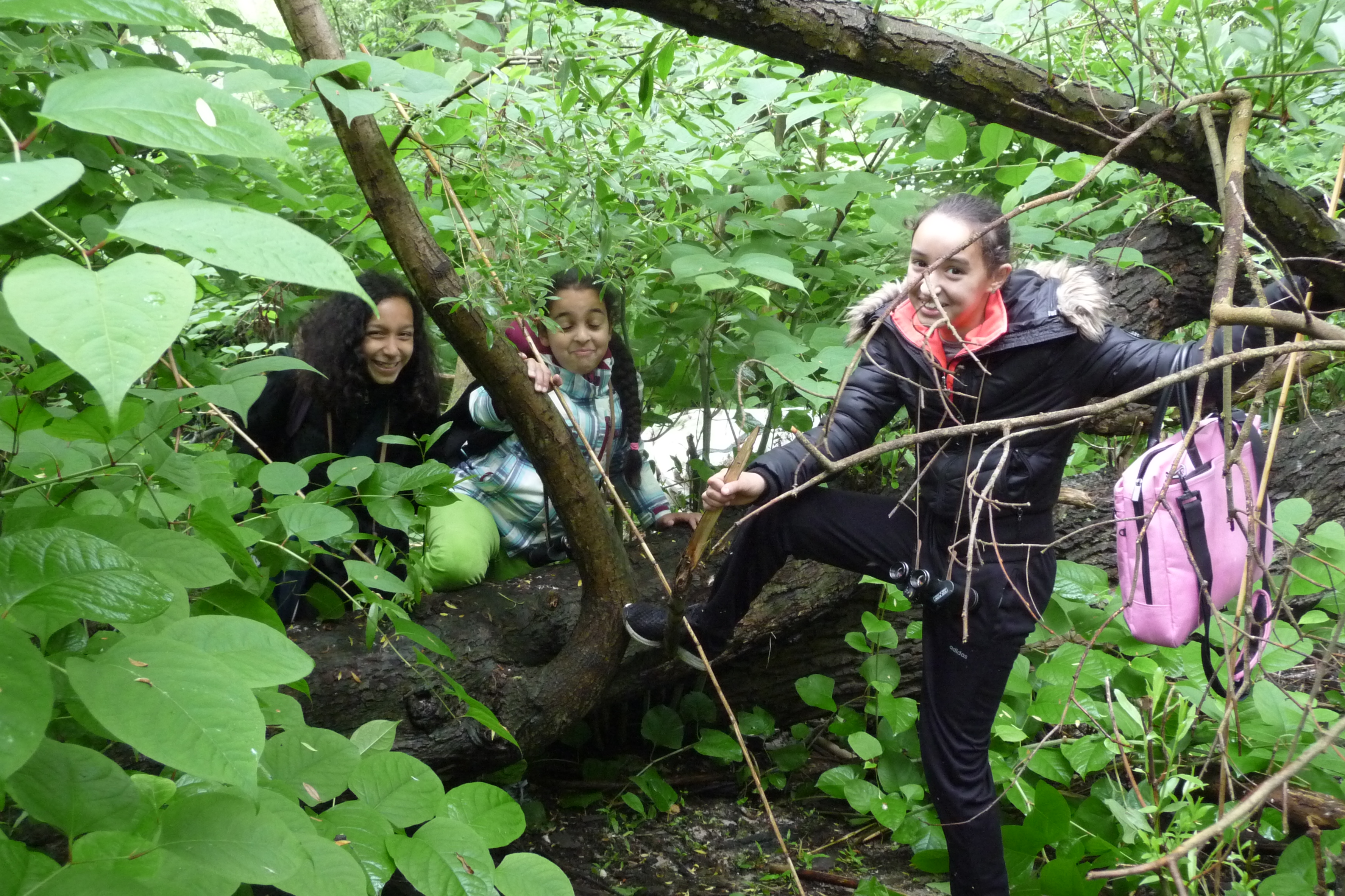 Eiland van Brienenoord