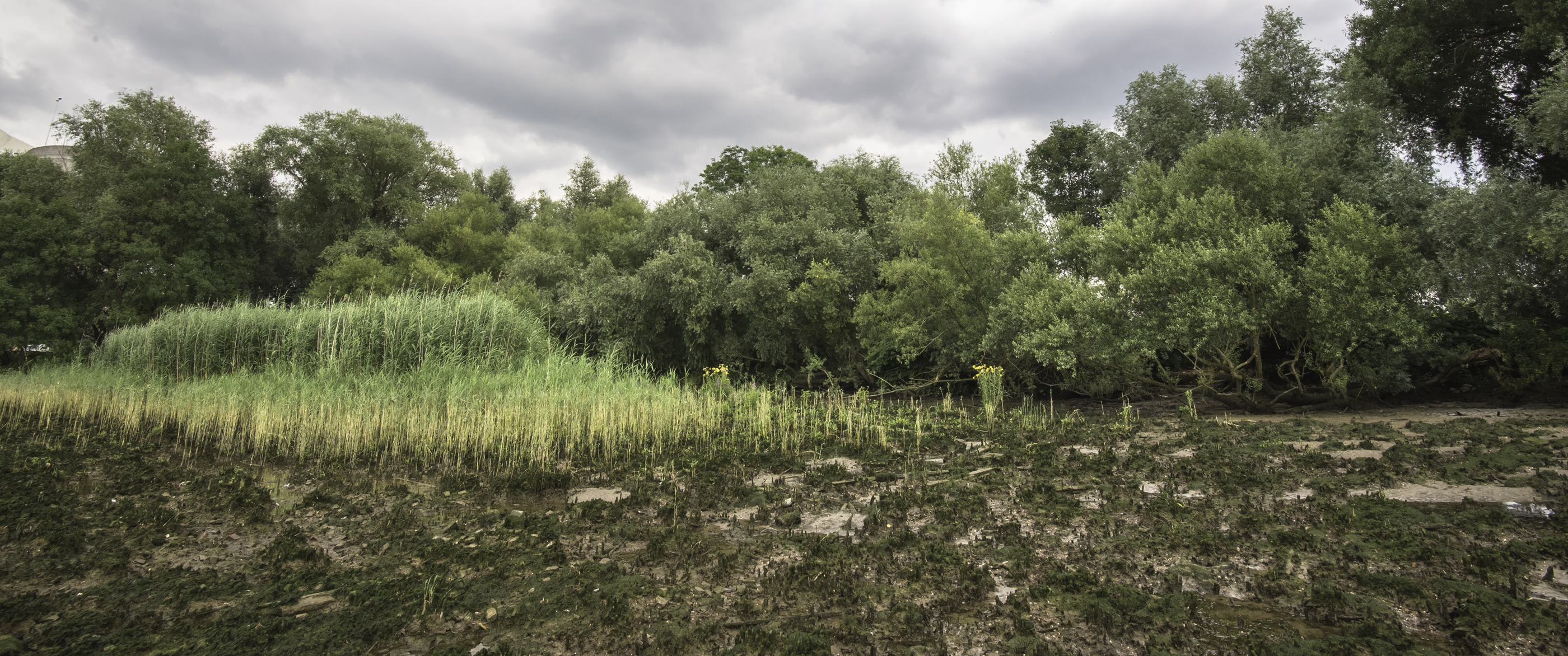 Eiland van Brienenoord, foto: Gert de Graaf