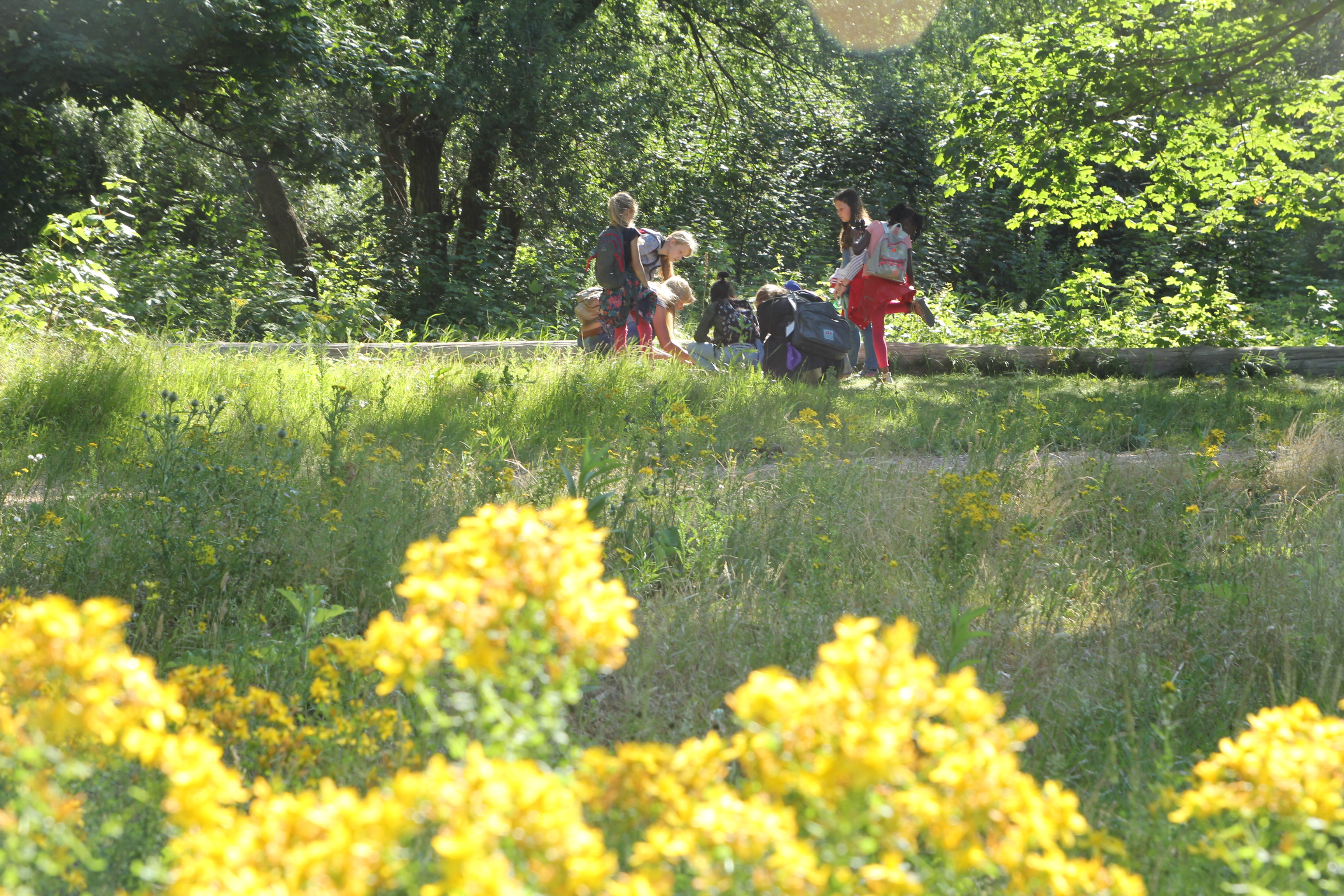 Veldles Eiland van Brienenoord (Foto: Linde de Leeuw)