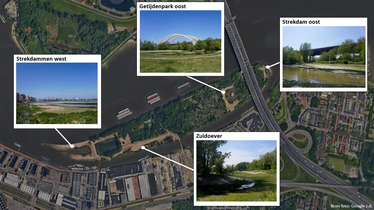 Oevers eiland Brienenoord Rotterdam stageverslag Leony Schlingmann Hogeschool Larenstein