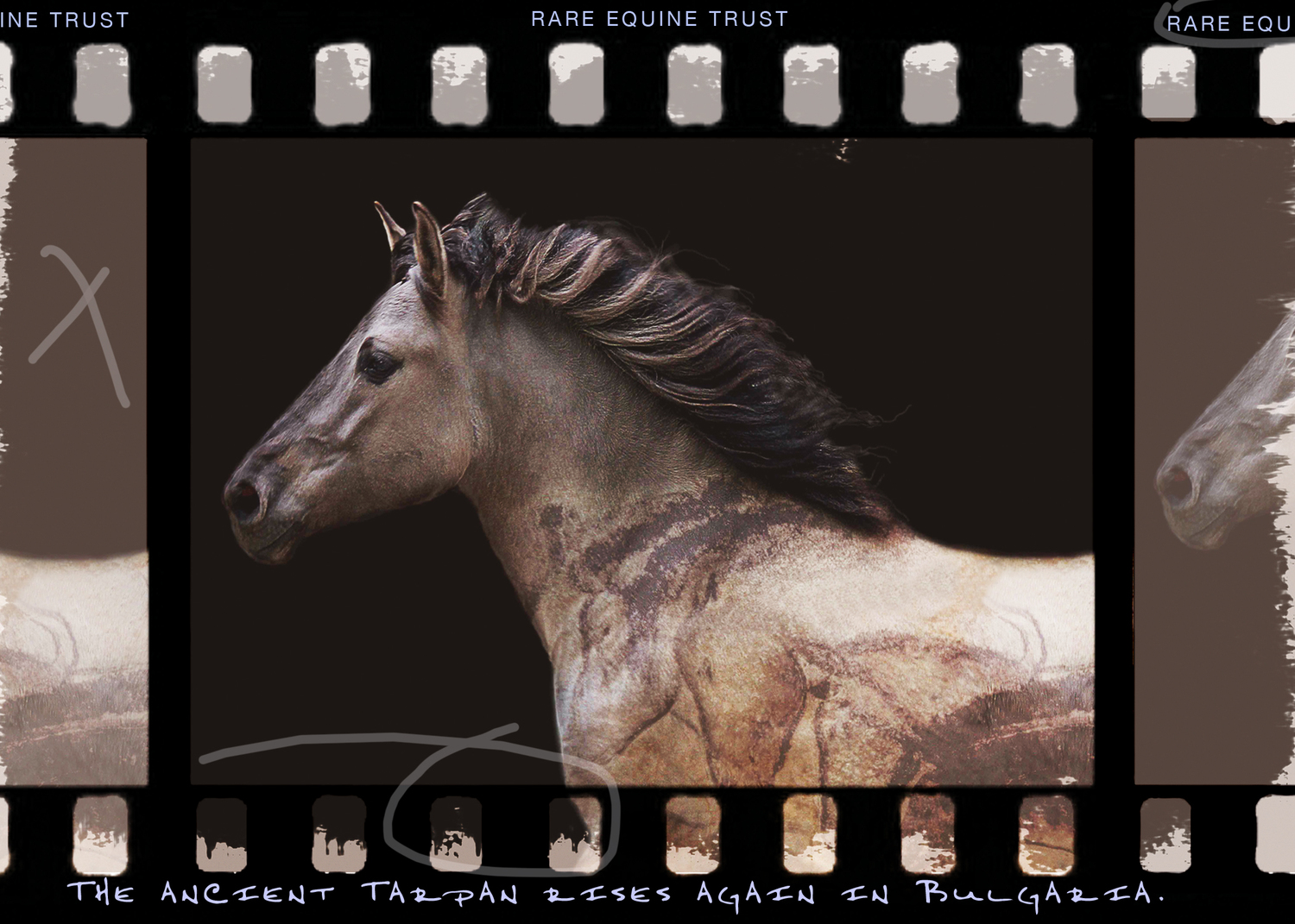 TARPAN REPAINTING AN ANCIENT PICTURE