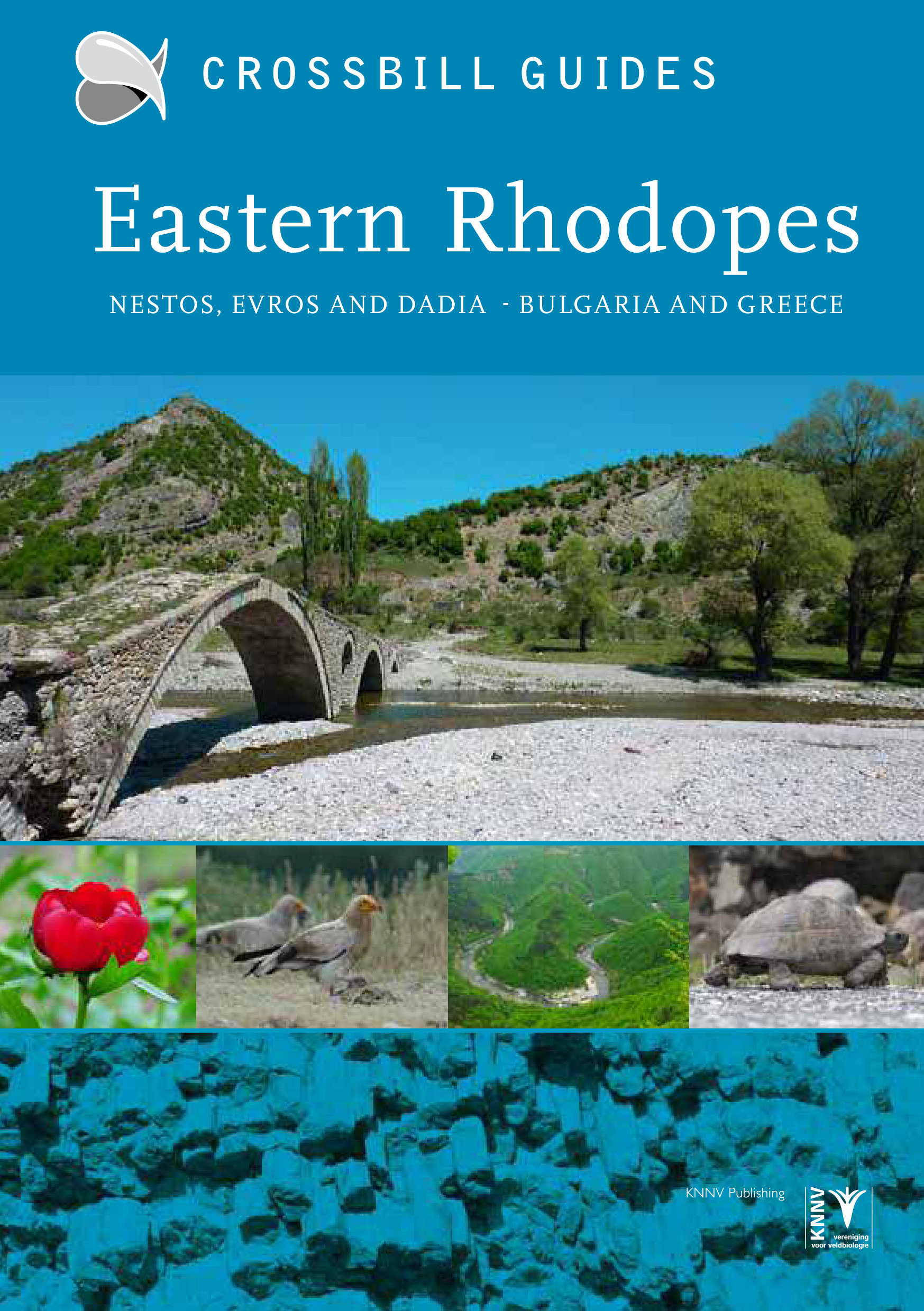 Crossbill Guide Eastern Rhodopes