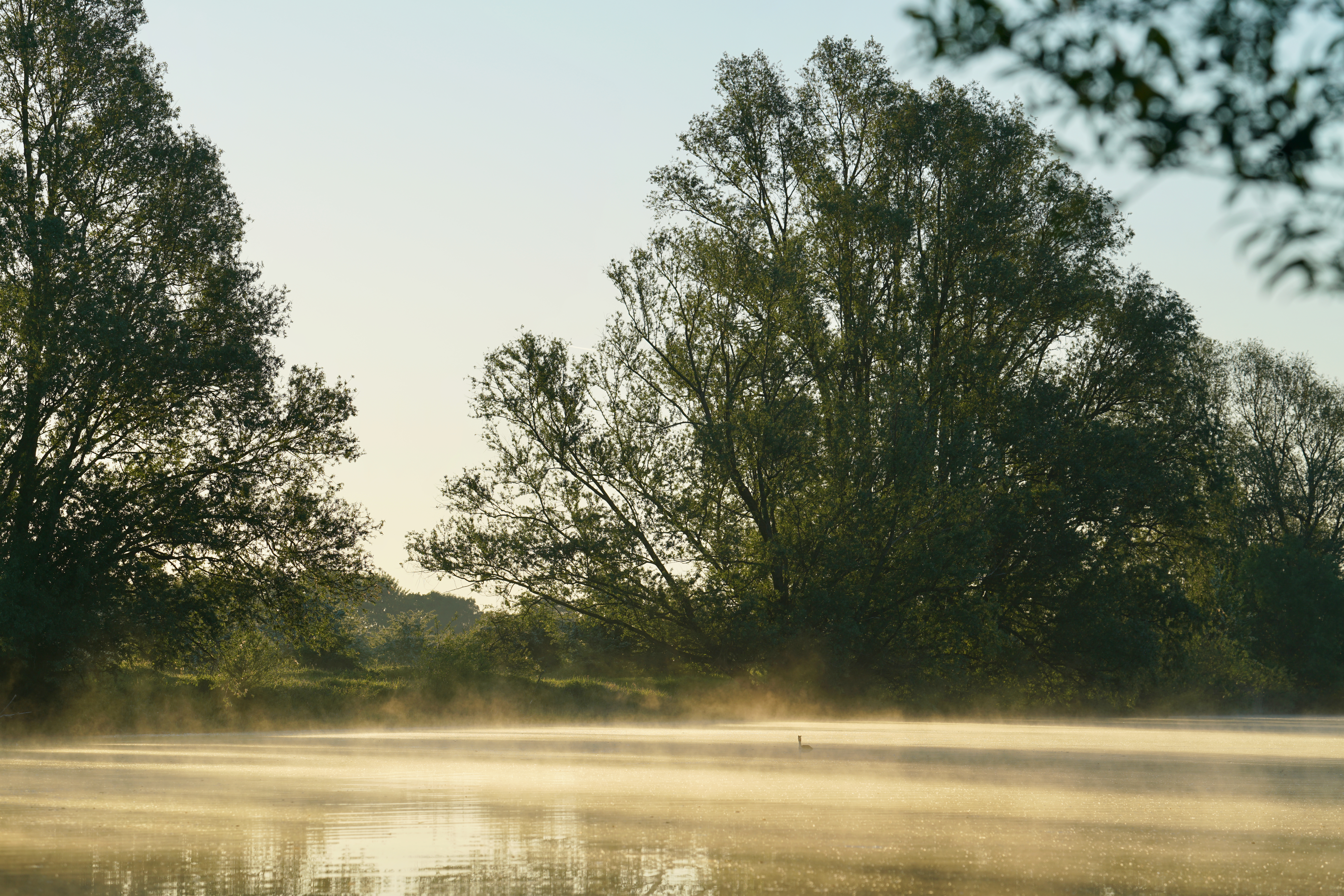 Zonsopkomst nevel Fuur