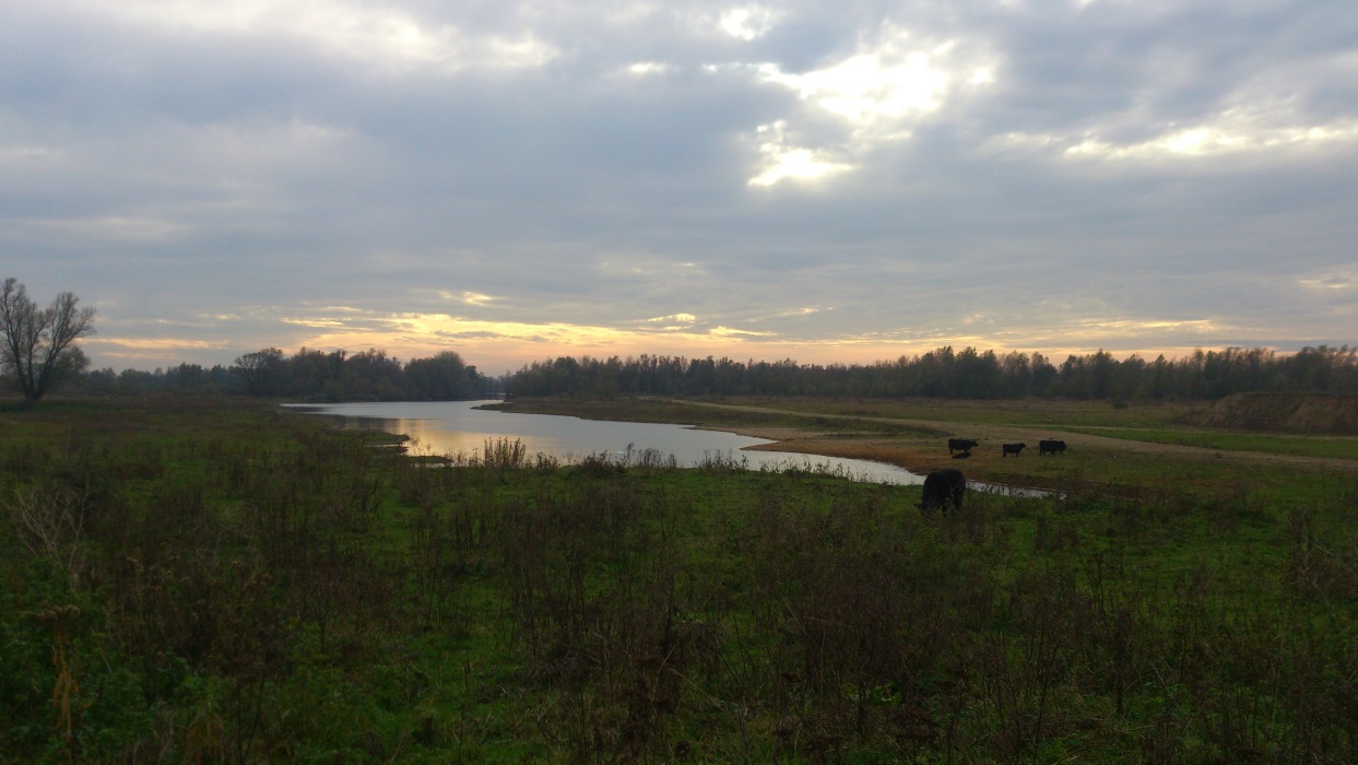 Gebiedsverkenning Millingerwaard Foto Jos Hoekerswever 