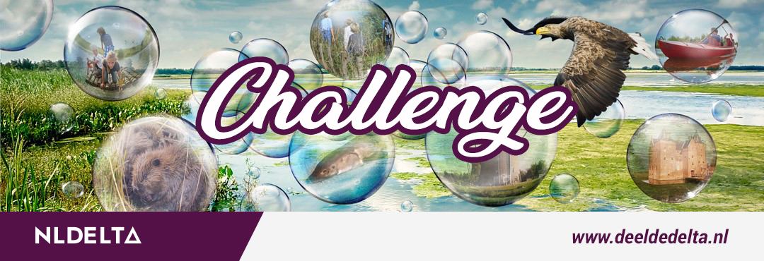 NLDelta Challenge